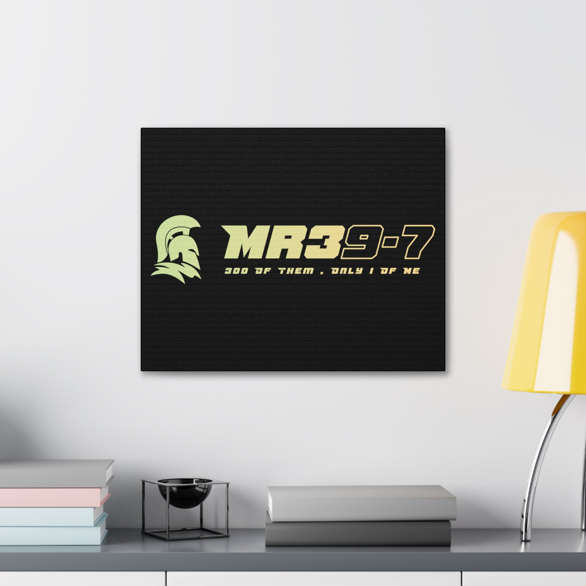 Canvas Gallery Wraps (A1•SPARTA RANGE)