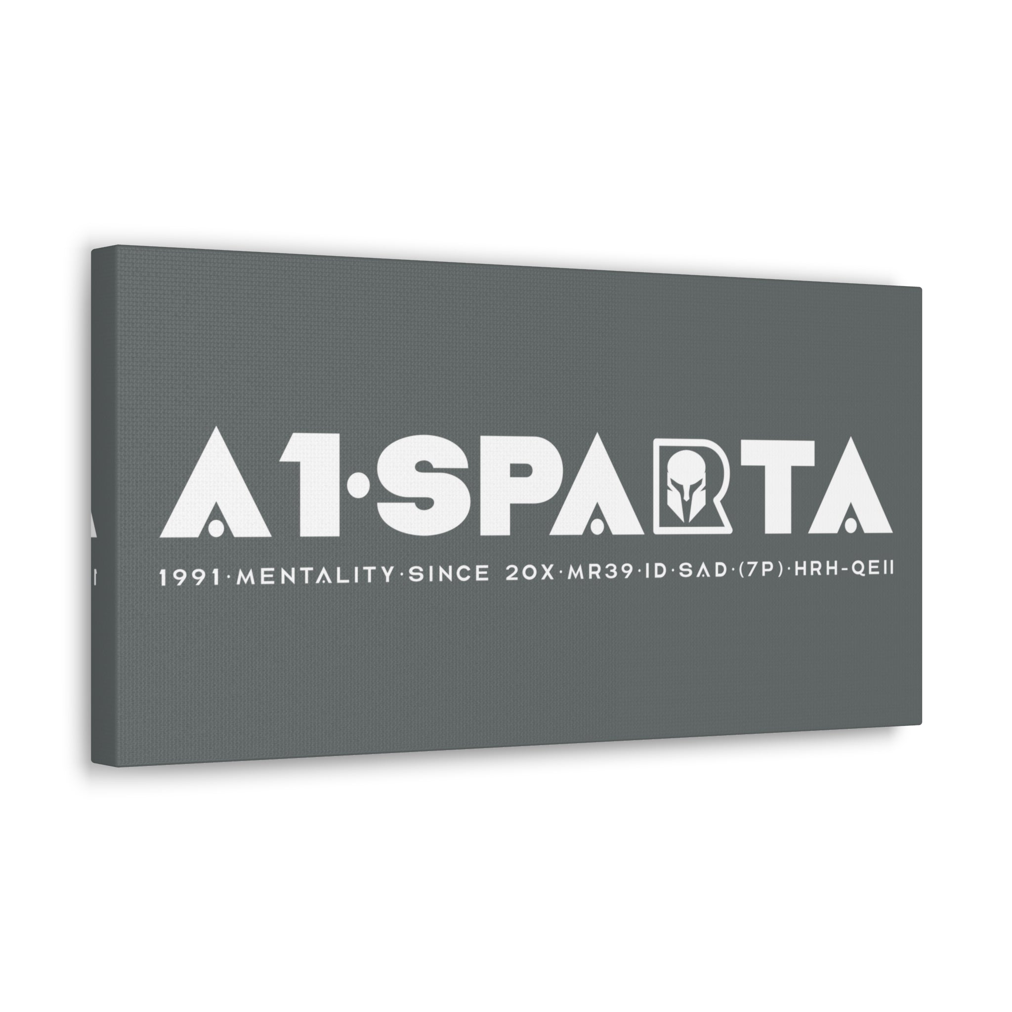 Canvas Gallery Wraps (A1•SPARTA RANGE)