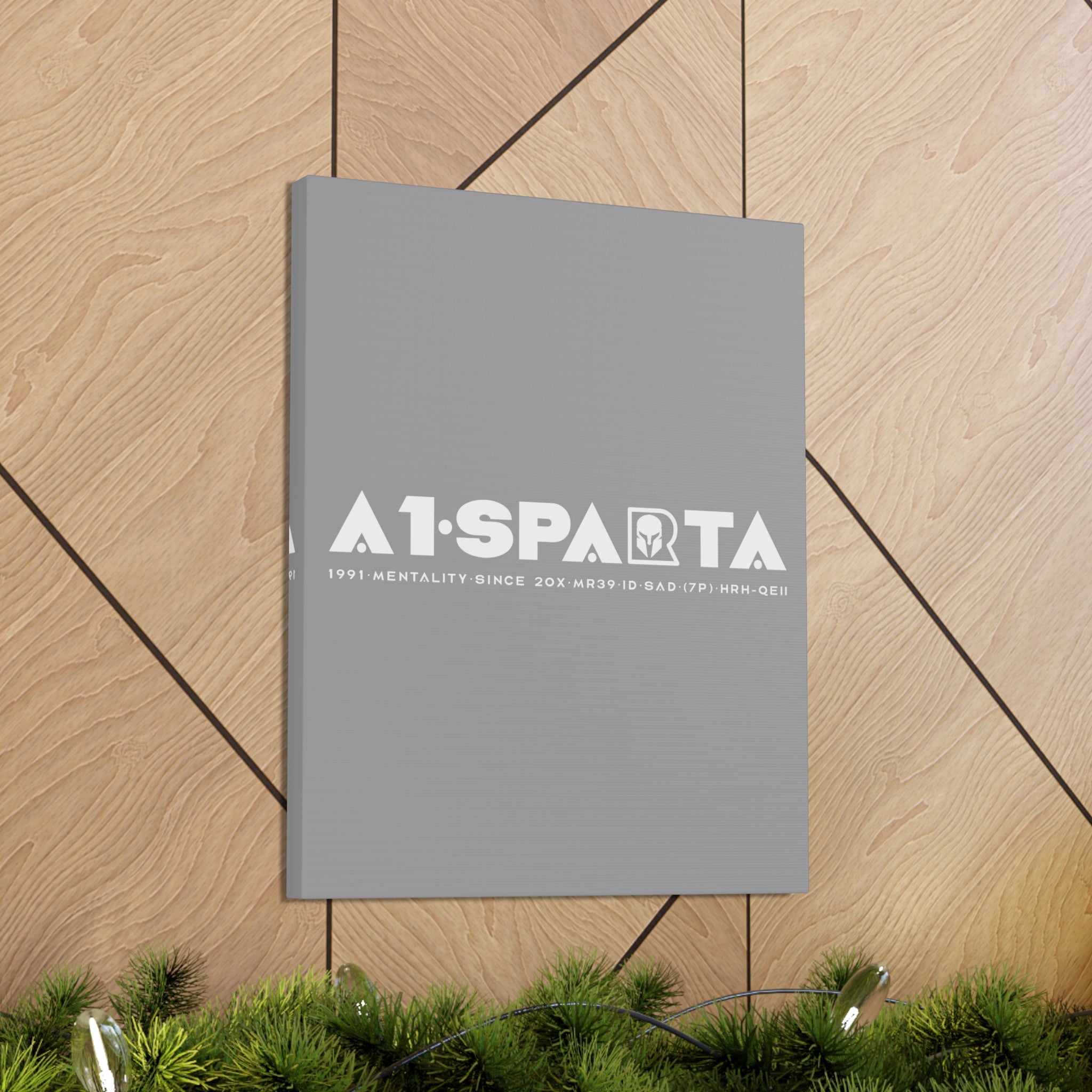 Canvas Gallery Wraps (A1•SPARTA RANGE)