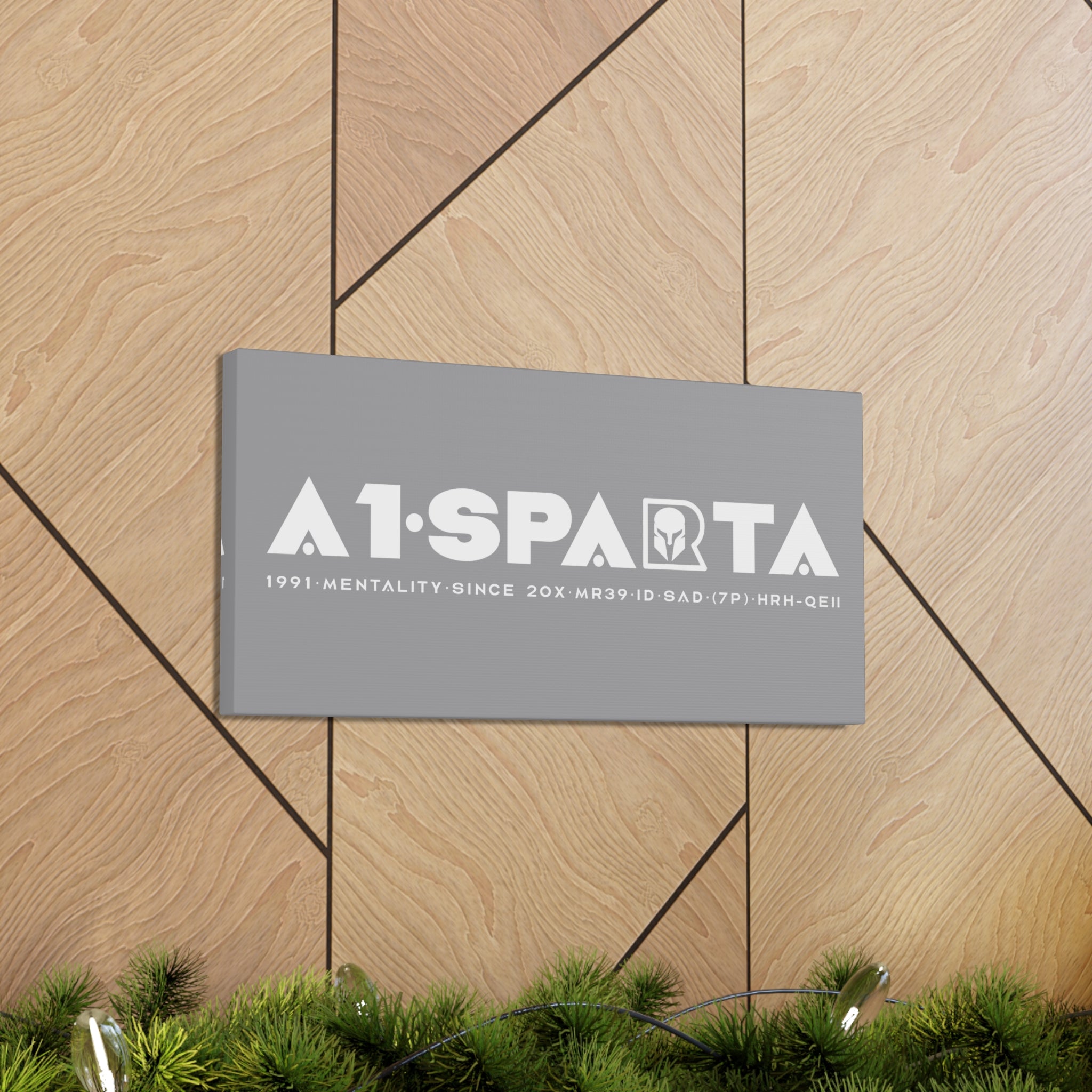 Canvas Gallery Wraps (A1•SPARTA RANGE)