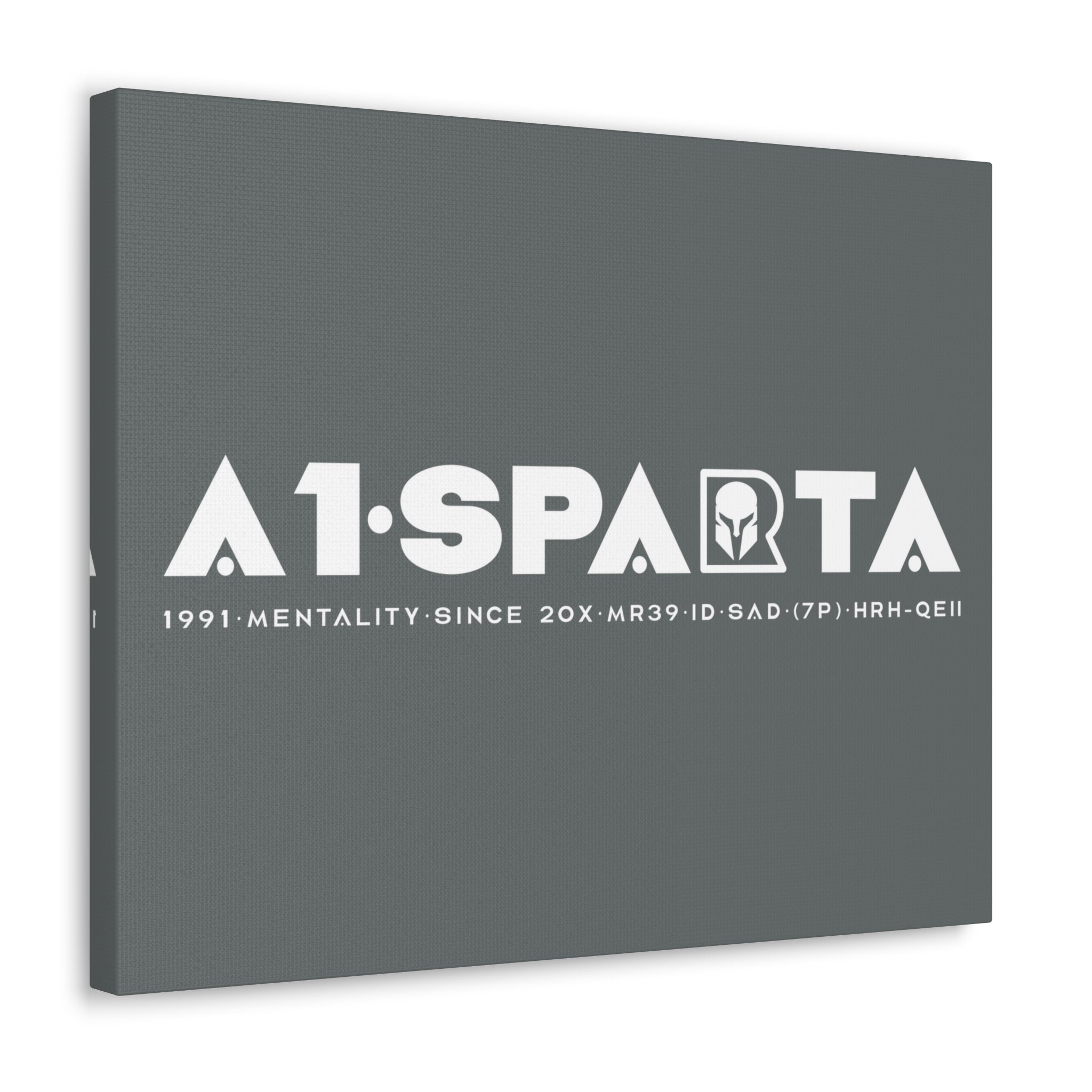 Canvas Gallery Wraps (A1•SPARTA RANGE)