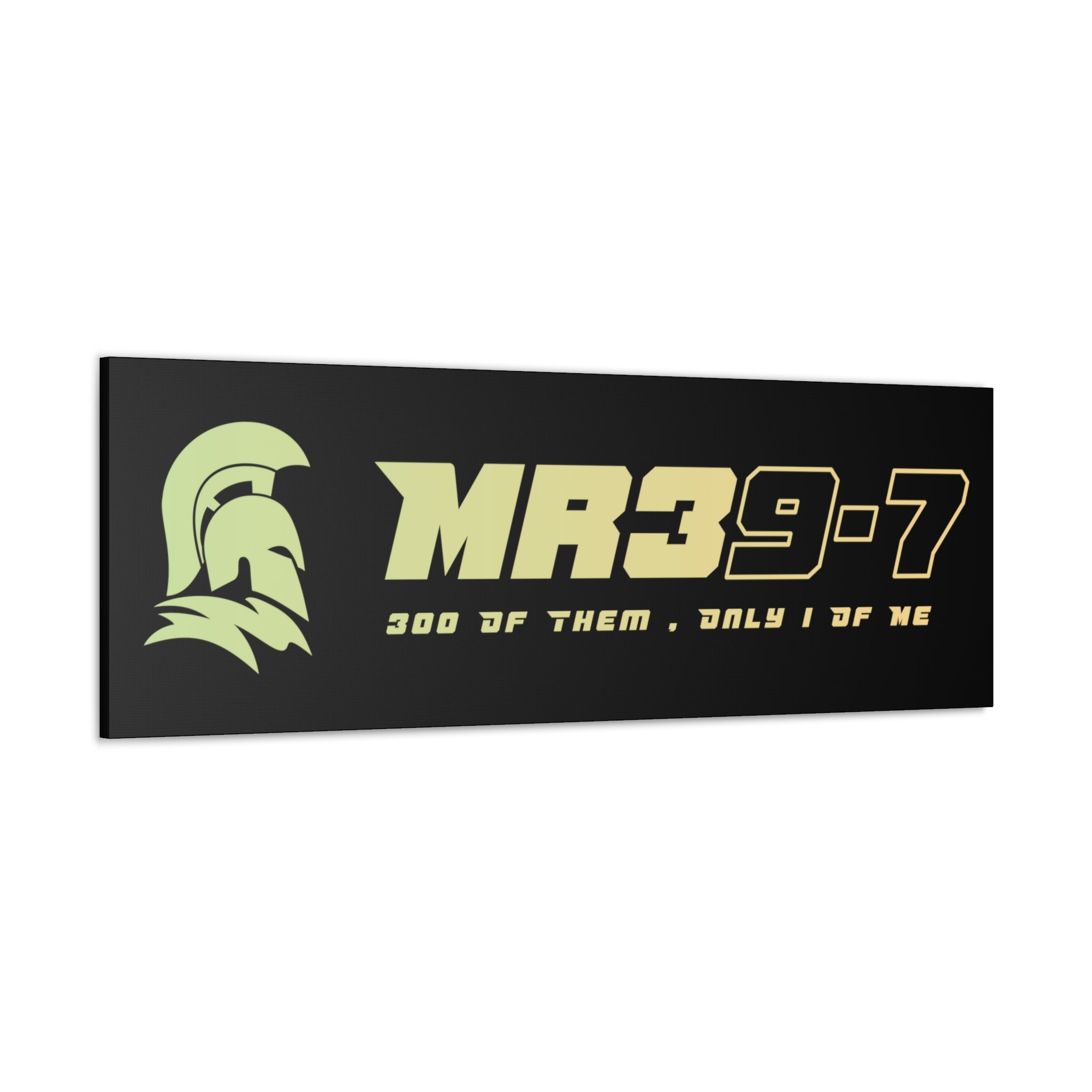 Canvas Gallery Wraps (A1•SPARTA RANGE)