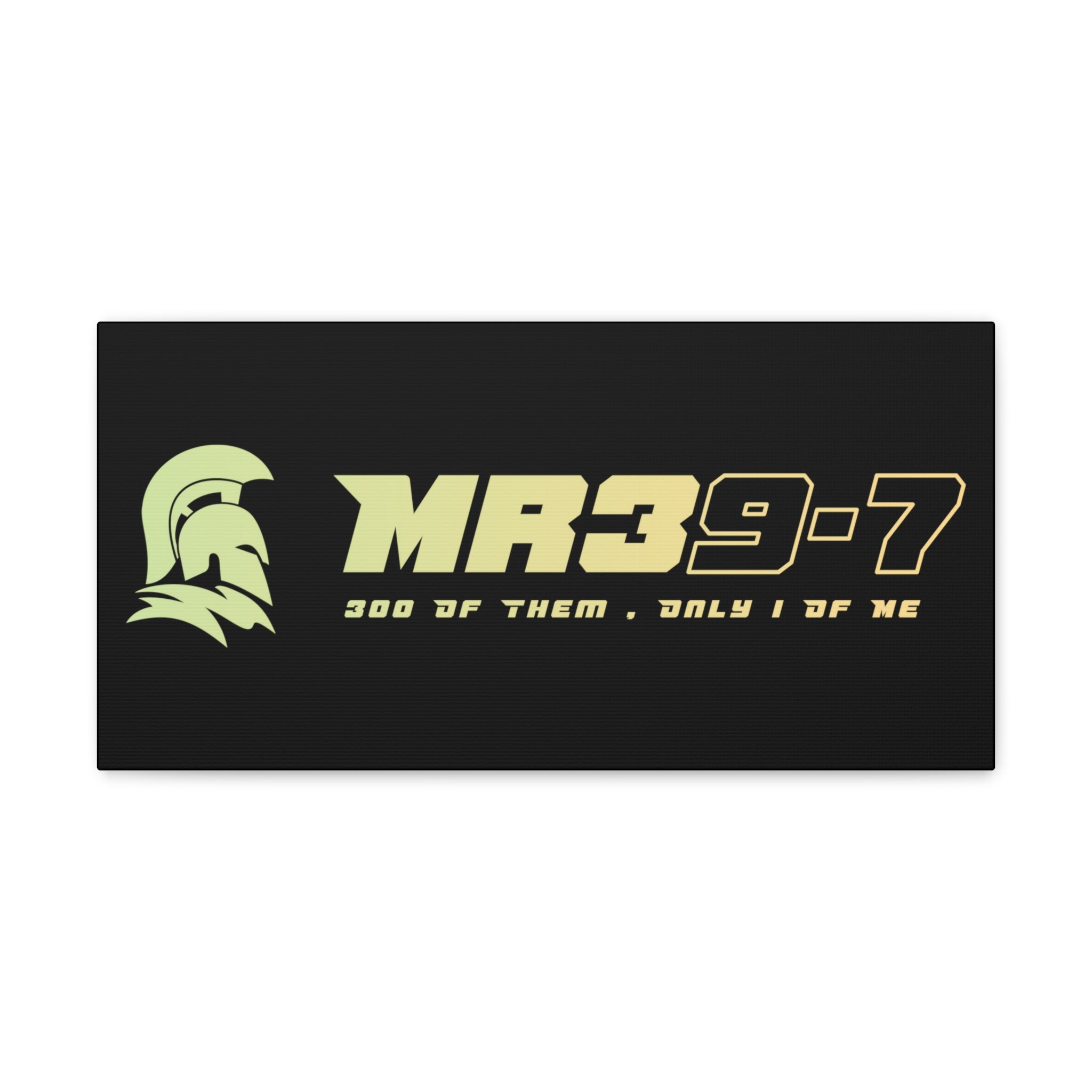 Canvas Gallery Wraps (A1•SPARTA RANGE)