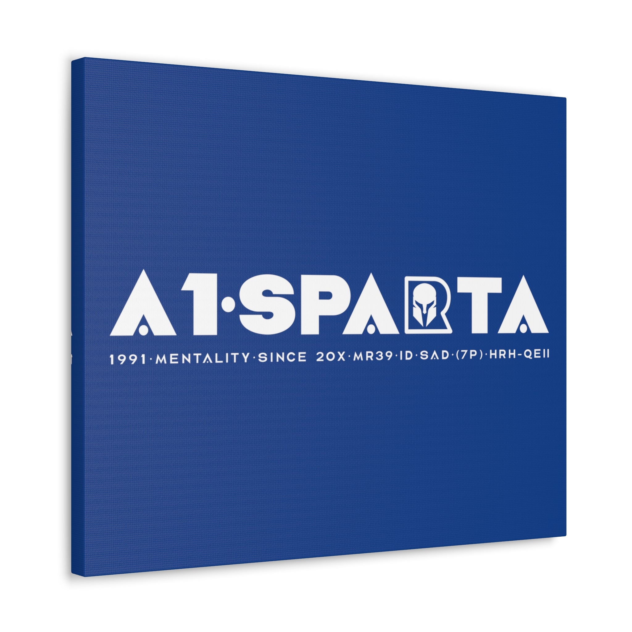 Canvas Gallery Wraps (A1•SPARTA RANGE)