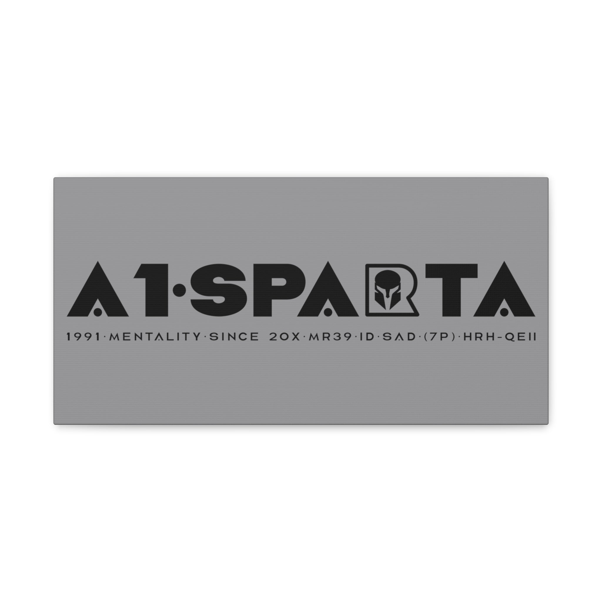 Canvas Gallery Wraps (A1•SPARTA RANGE)