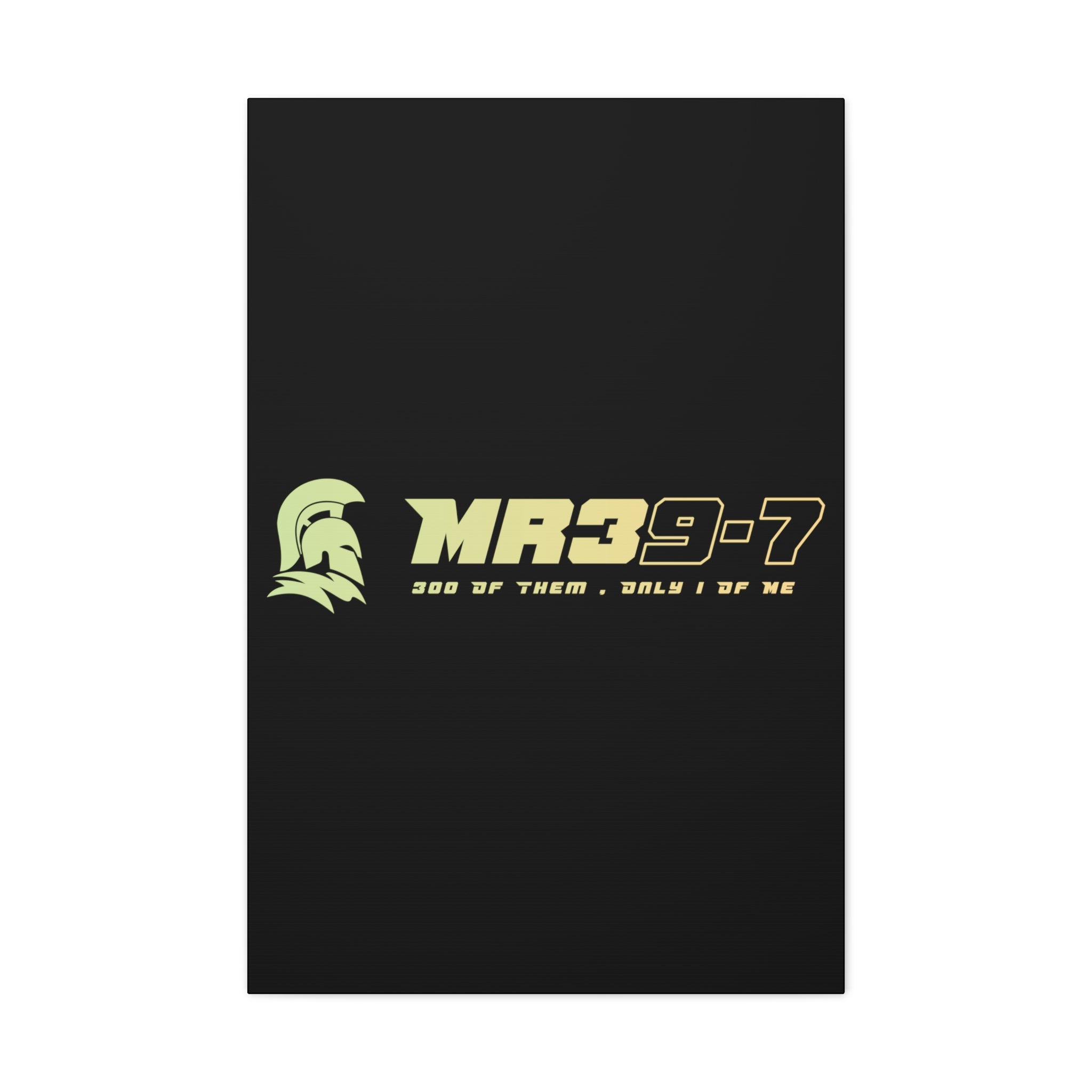 Canvas Gallery Wraps (A1•SPARTA RANGE)