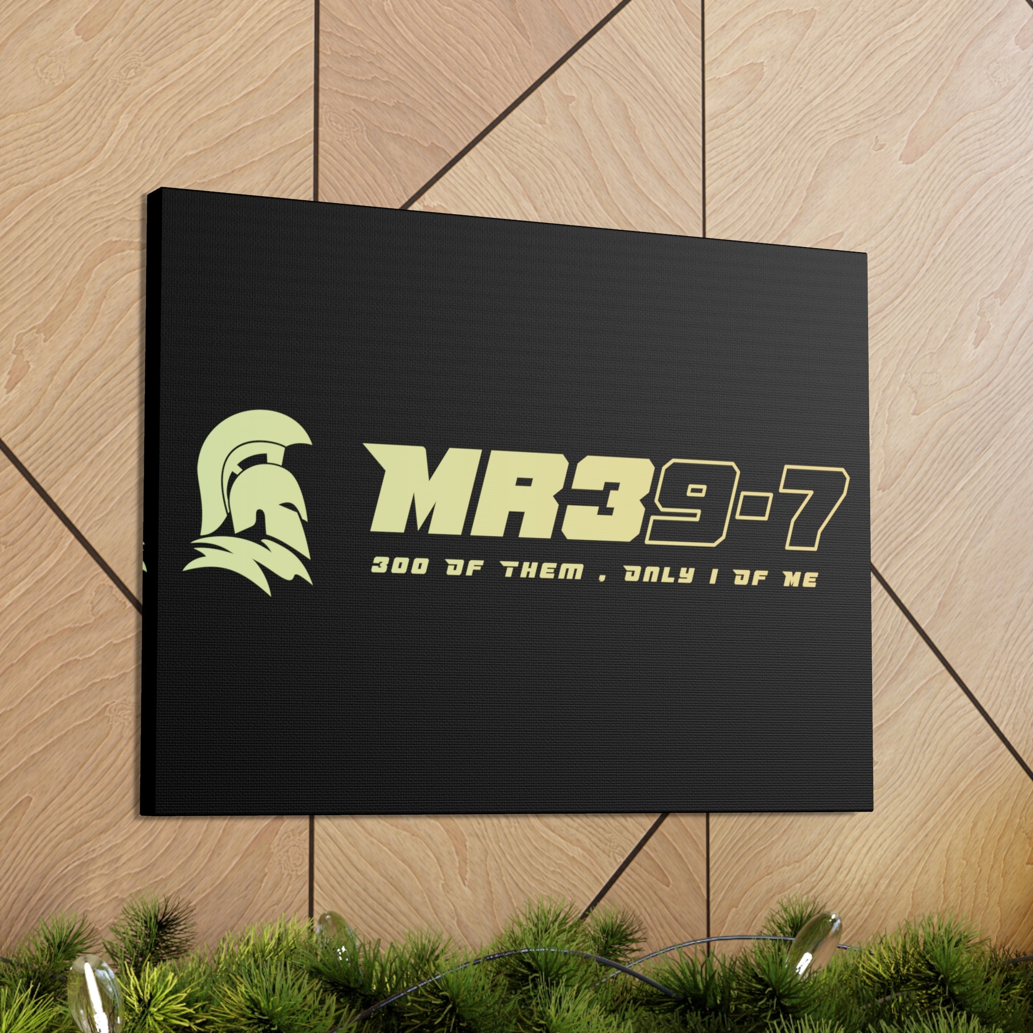 Canvas Gallery Wraps (A1•SPARTA RANGE)