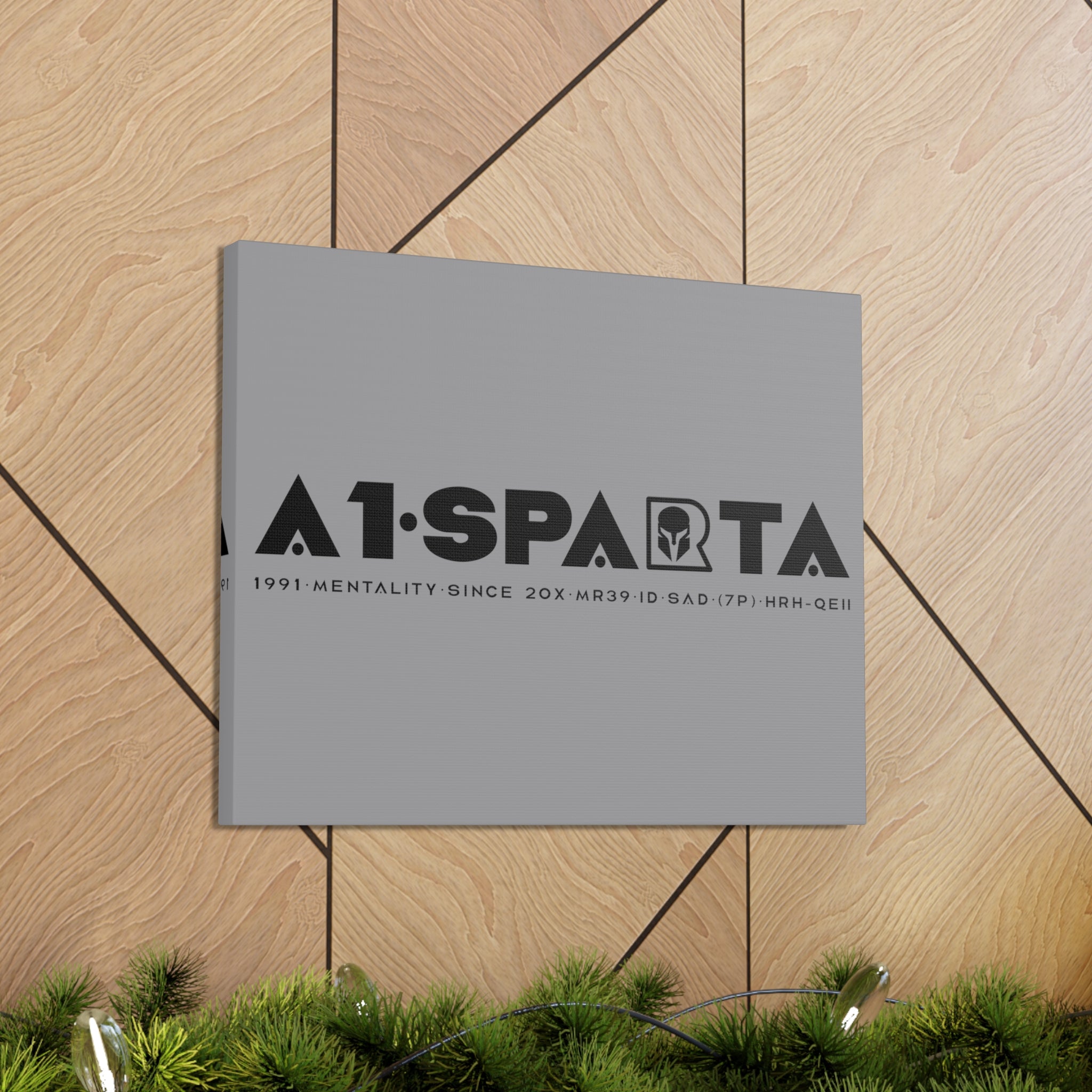 Canvas Gallery Wraps (A1•SPARTA RANGE)