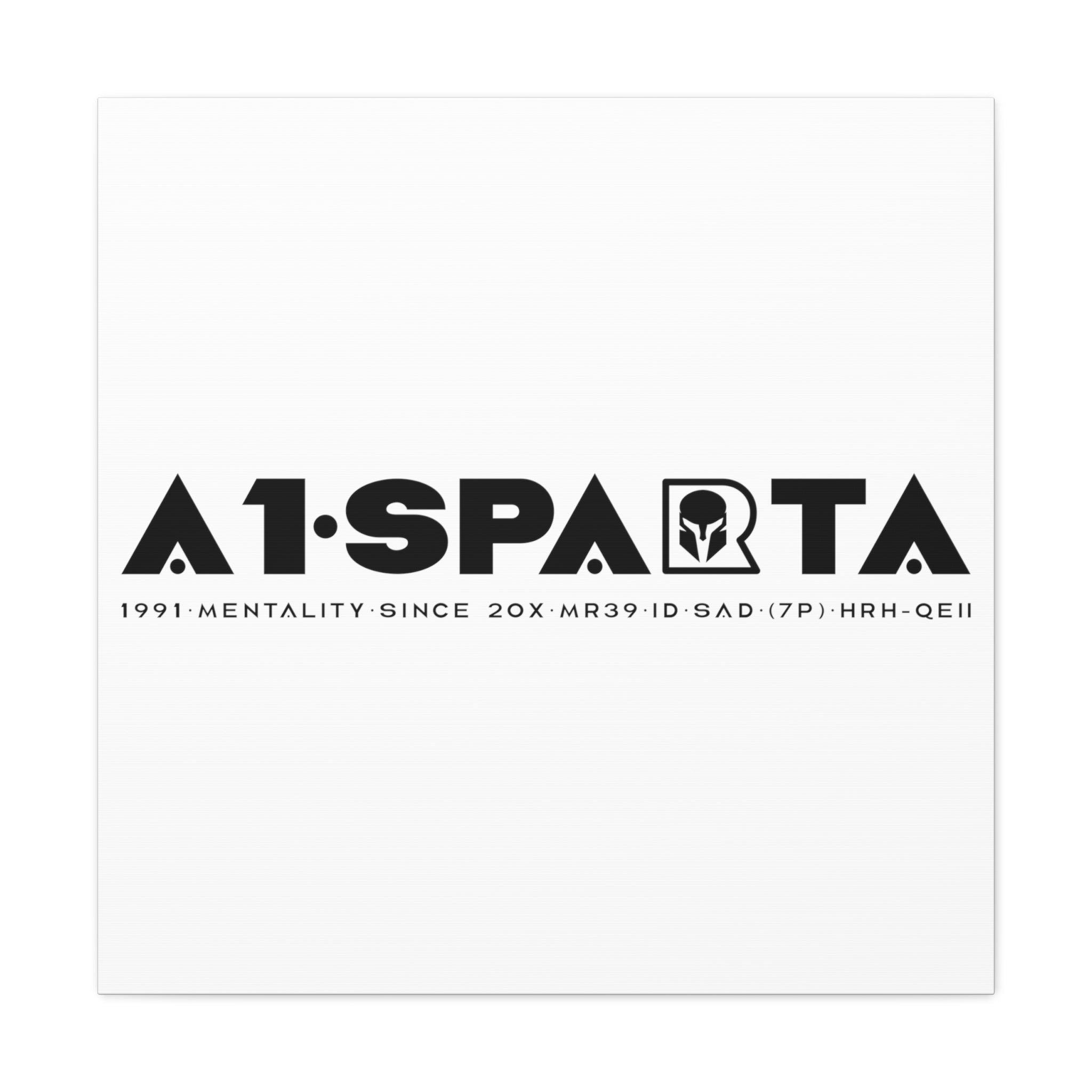 Canvas Gallery Wraps (A1•SPARTA RANGE)