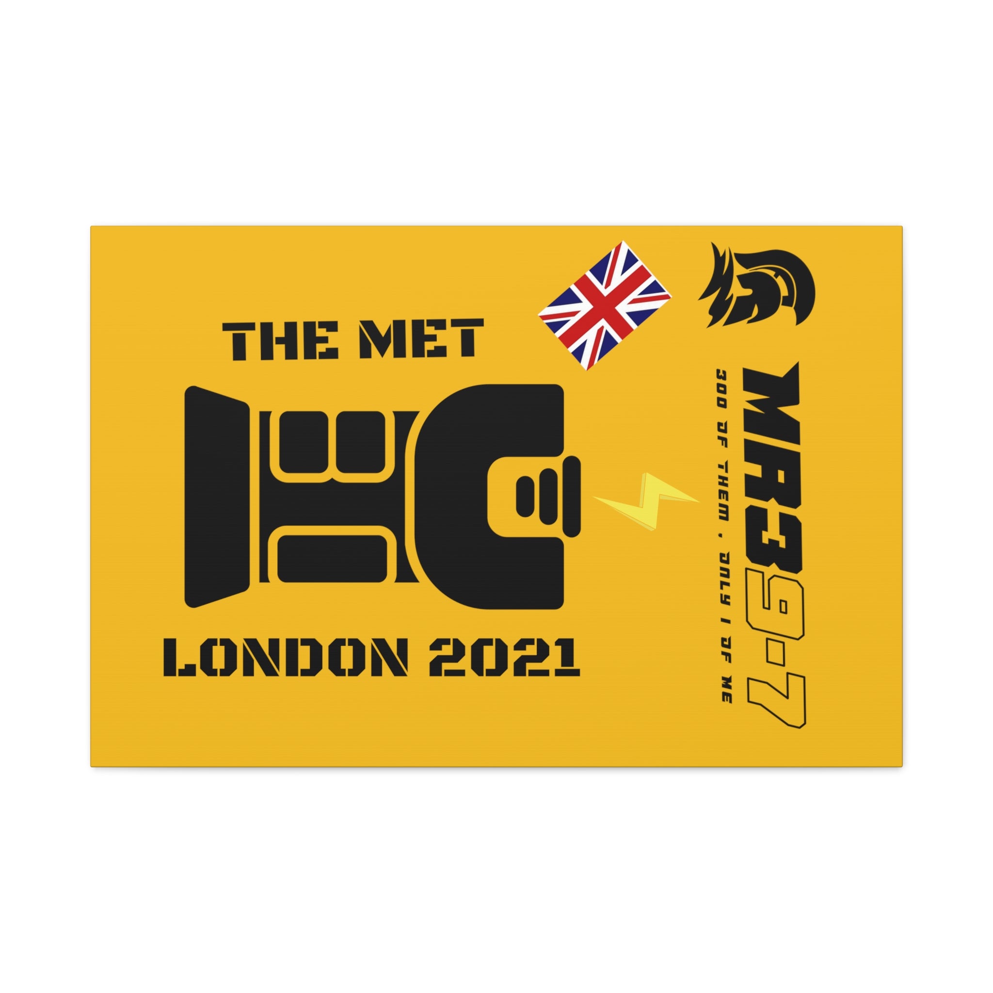 Canvas Gallery Wraps MR 39 Tasered by The MET 2021