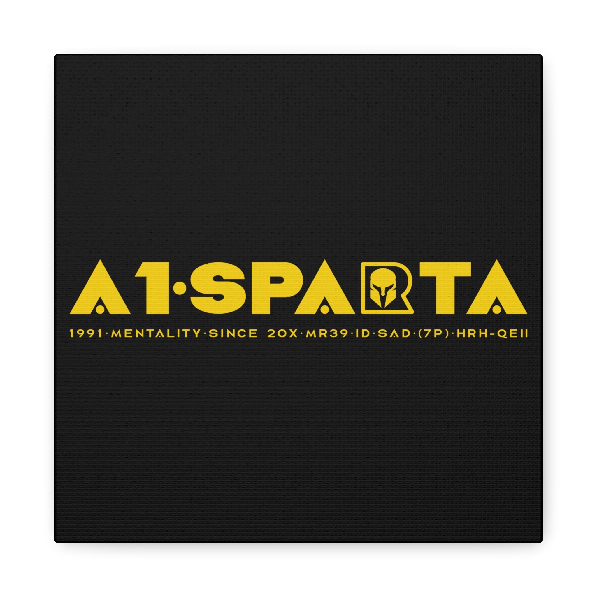 Canvas Gallery Wraps (A1•SPARTA RANGE)