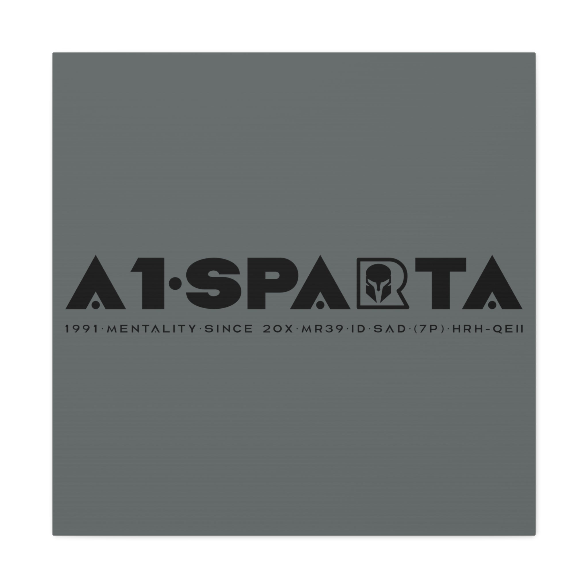 Canvas Gallery Wraps (A1•SPARTA RANGE)