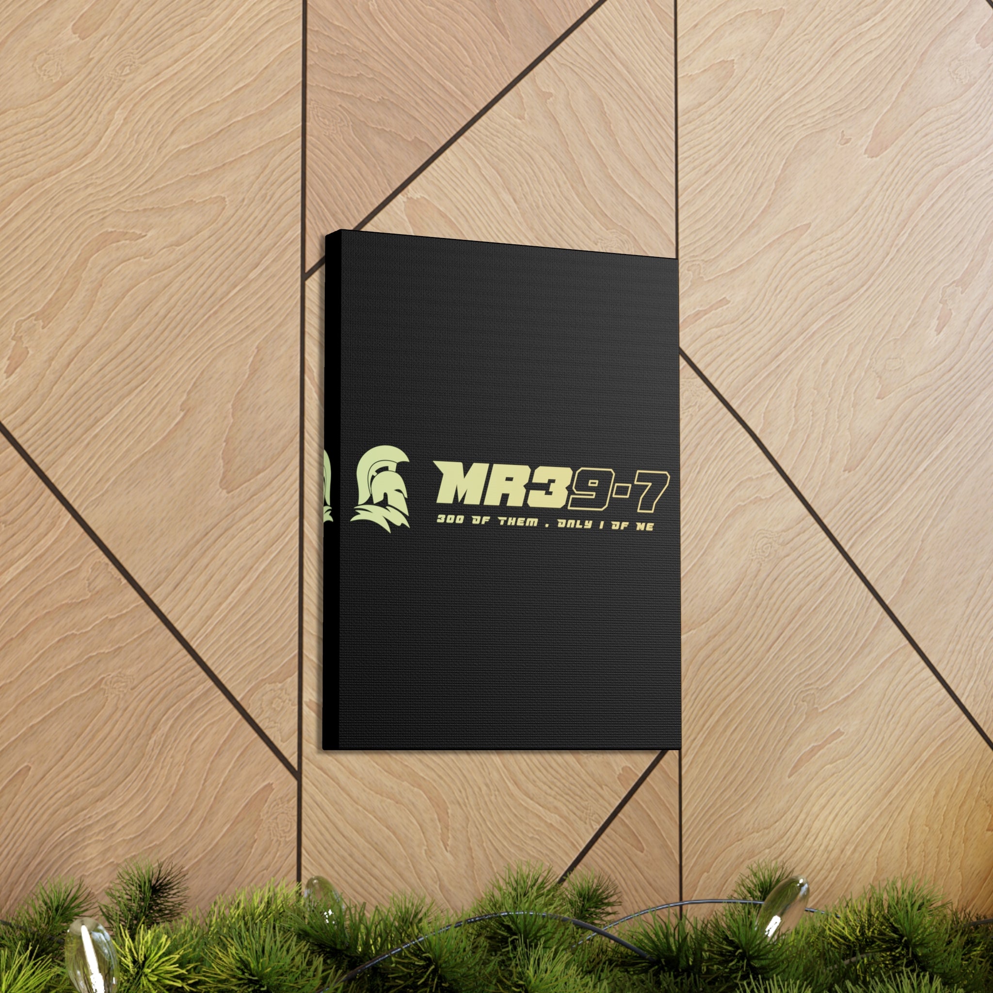 Canvas Gallery Wraps (A1•SPARTA RANGE)