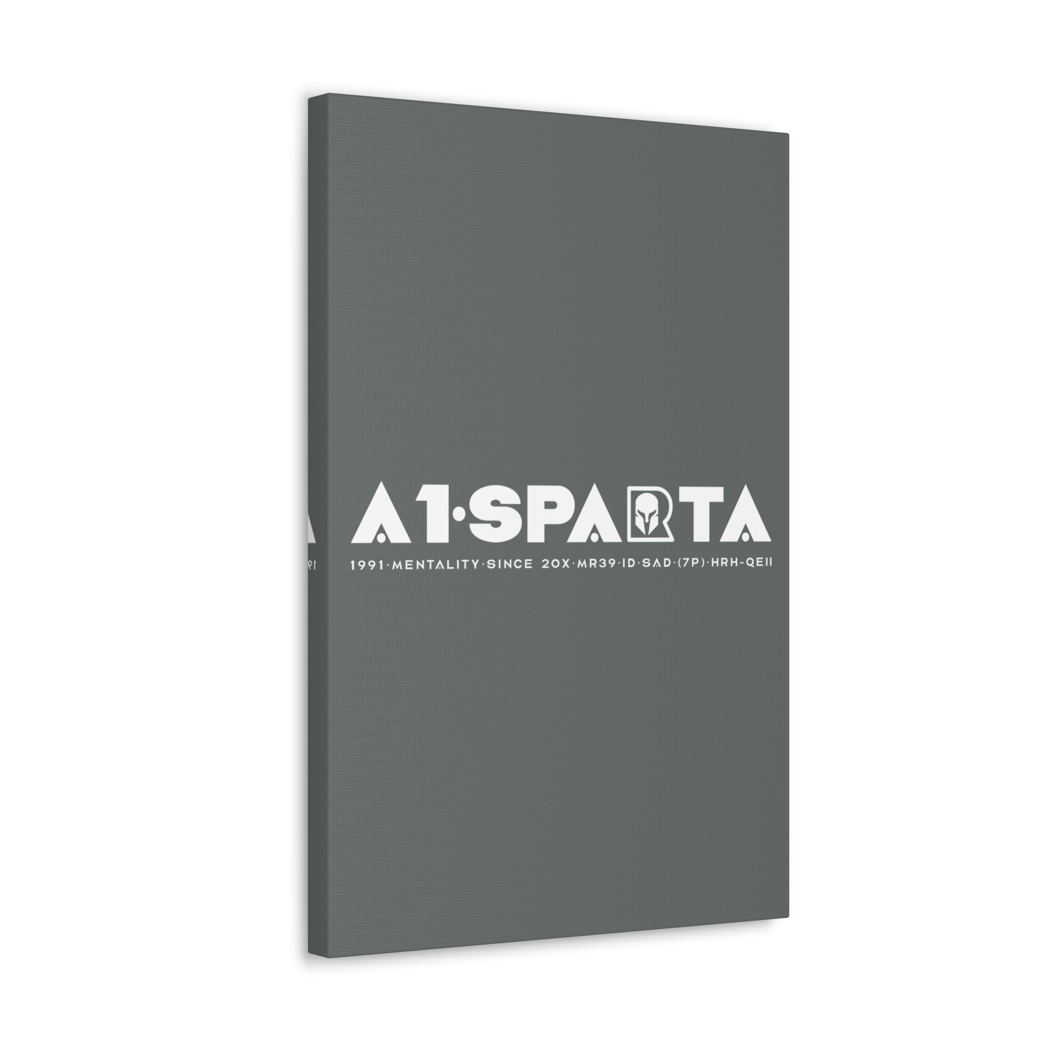 Canvas Gallery Wraps (A1•SPARTA RANGE)