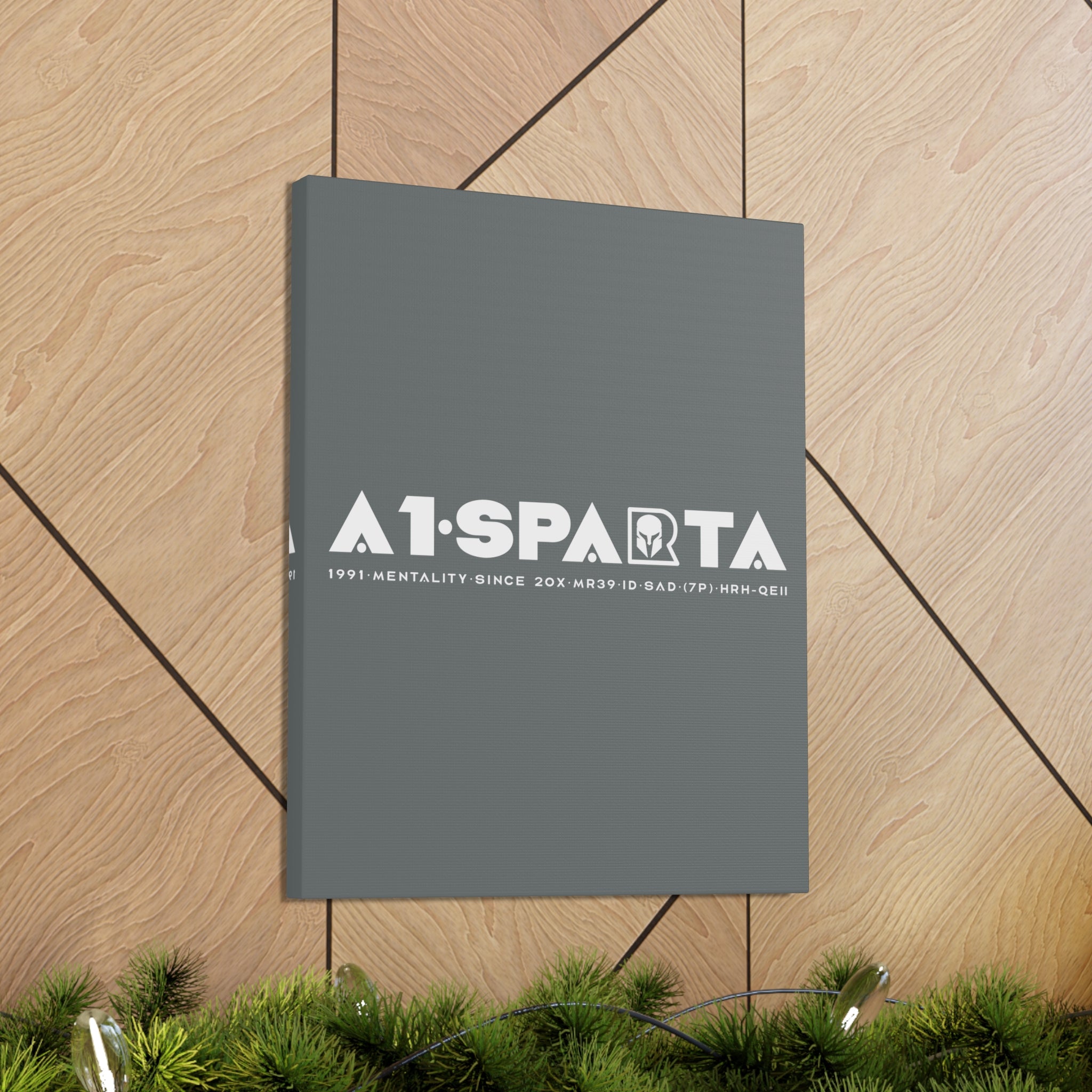 Canvas Gallery Wraps (A1•SPARTA RANGE)