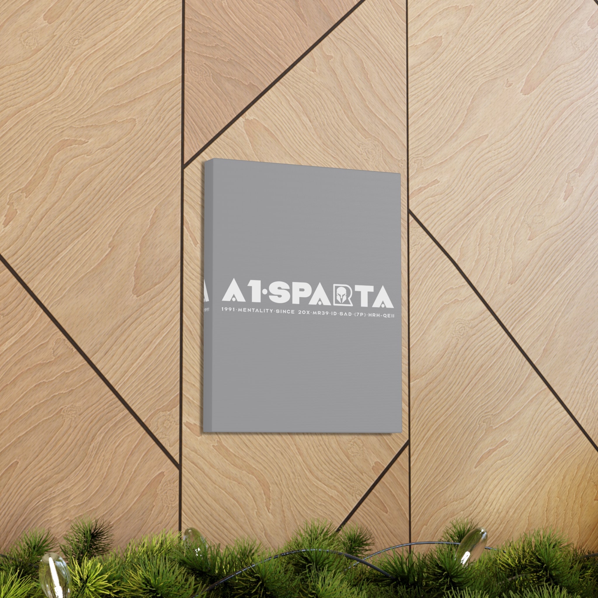 Canvas Gallery Wraps (A1•SPARTA RANGE)