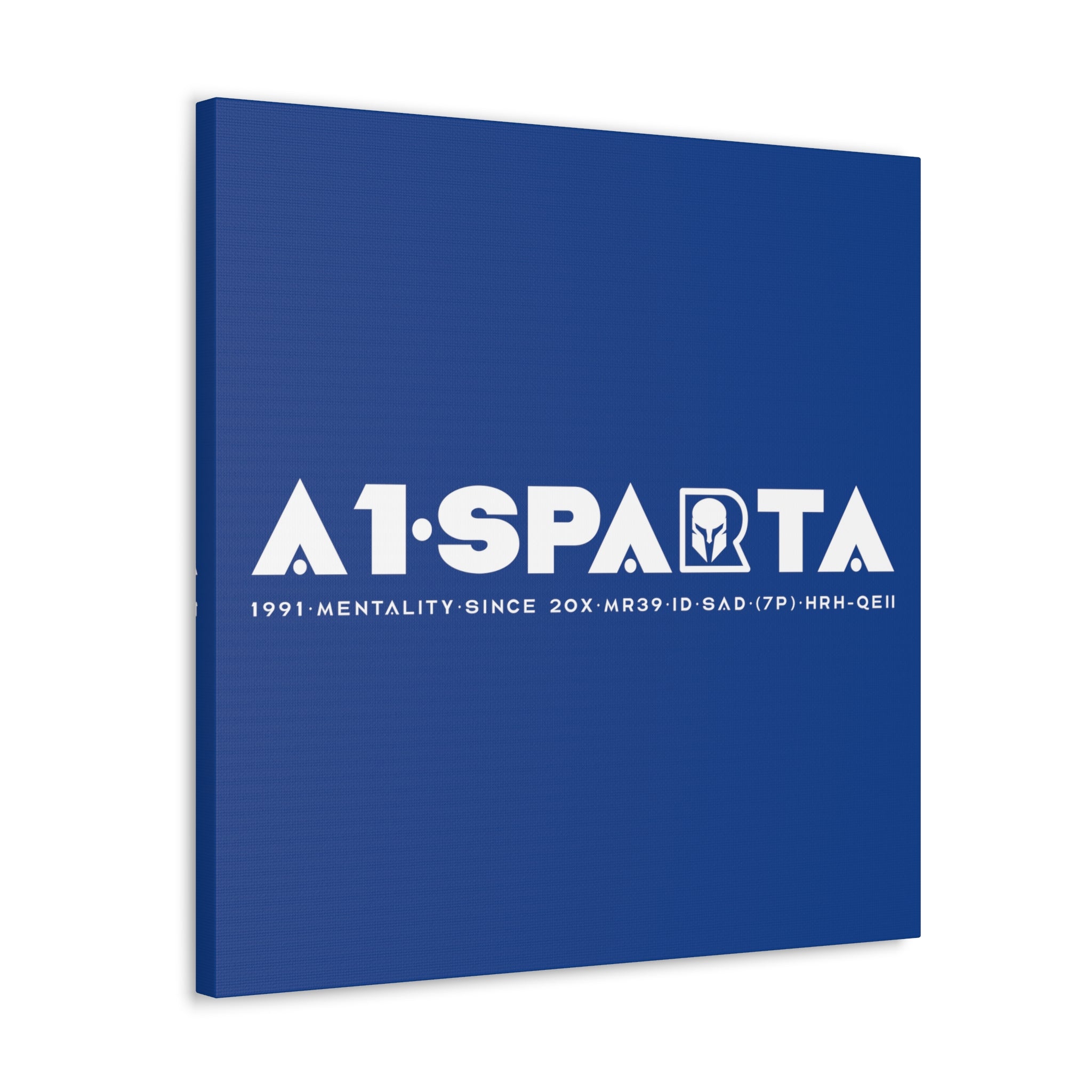 Canvas Gallery Wraps (A1•SPARTA RANGE)