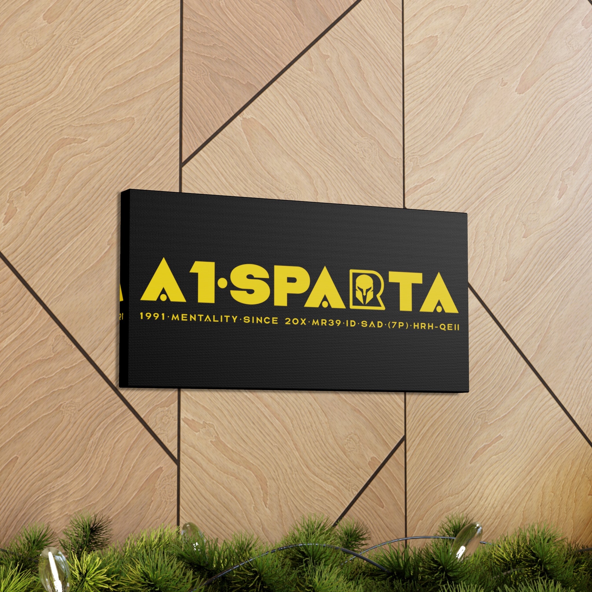 Canvas Gallery Wraps (A1•SPARTA RANGE)