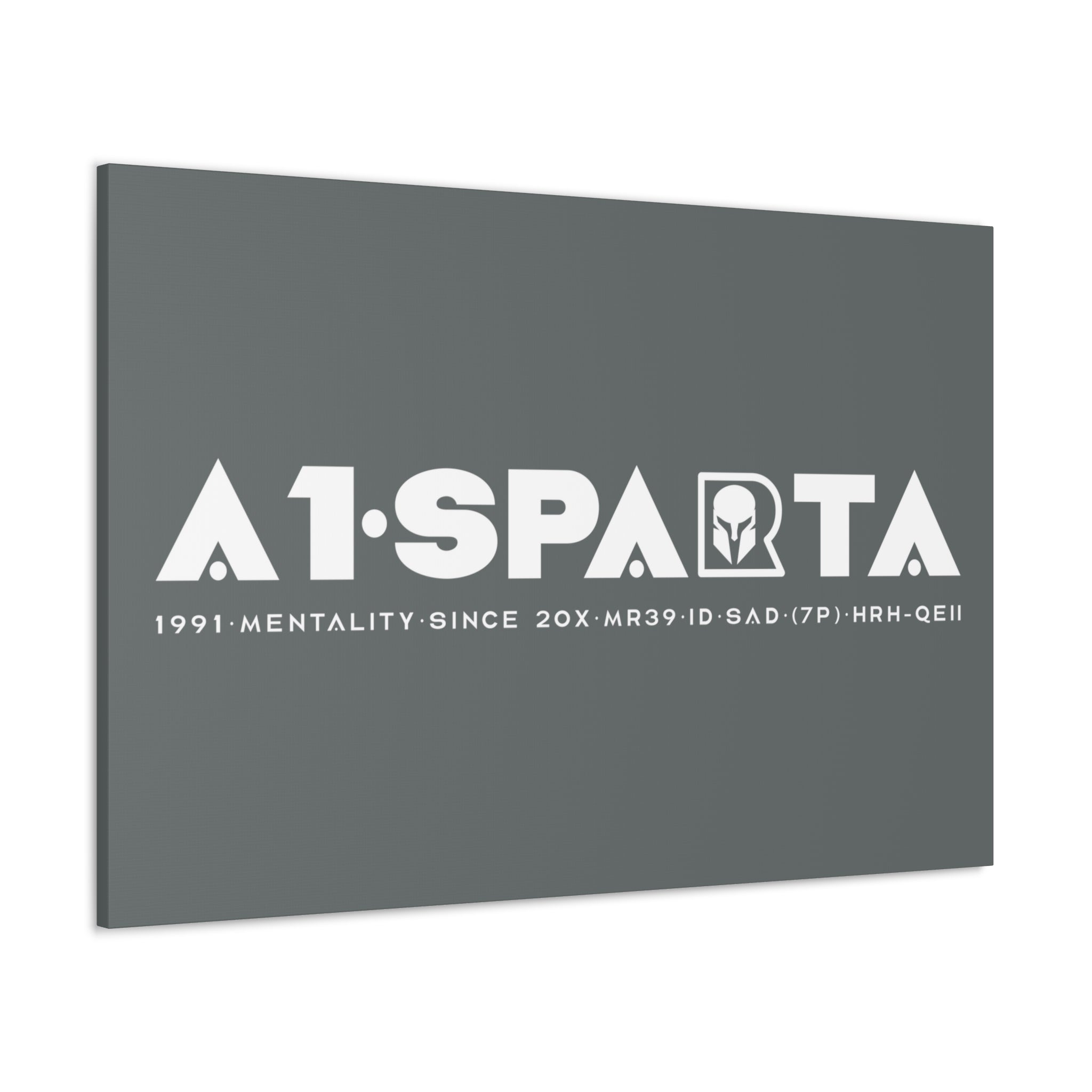 Canvas Gallery Wraps (A1•SPARTA RANGE)