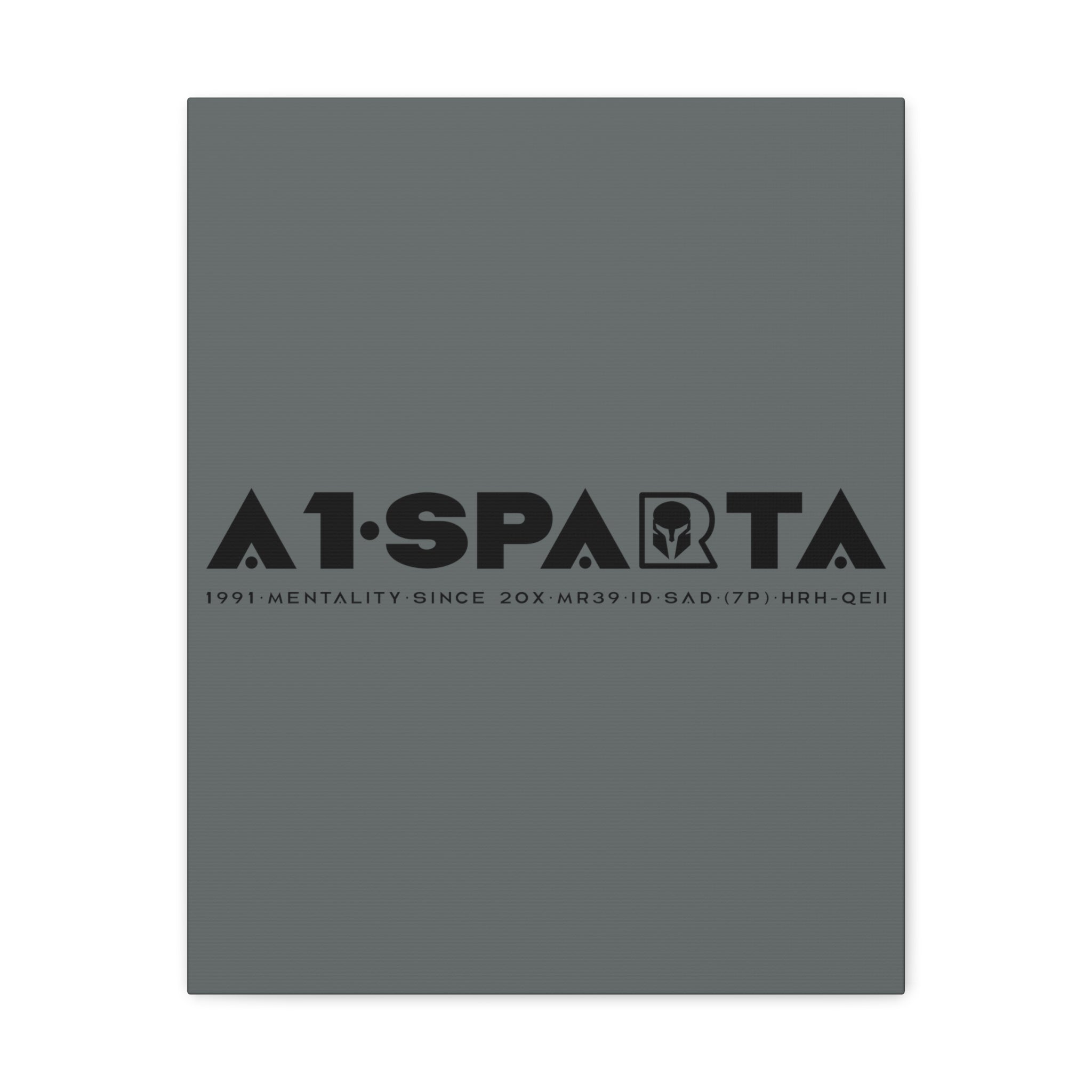 Canvas Gallery Wraps (A1•SPARTA RANGE)