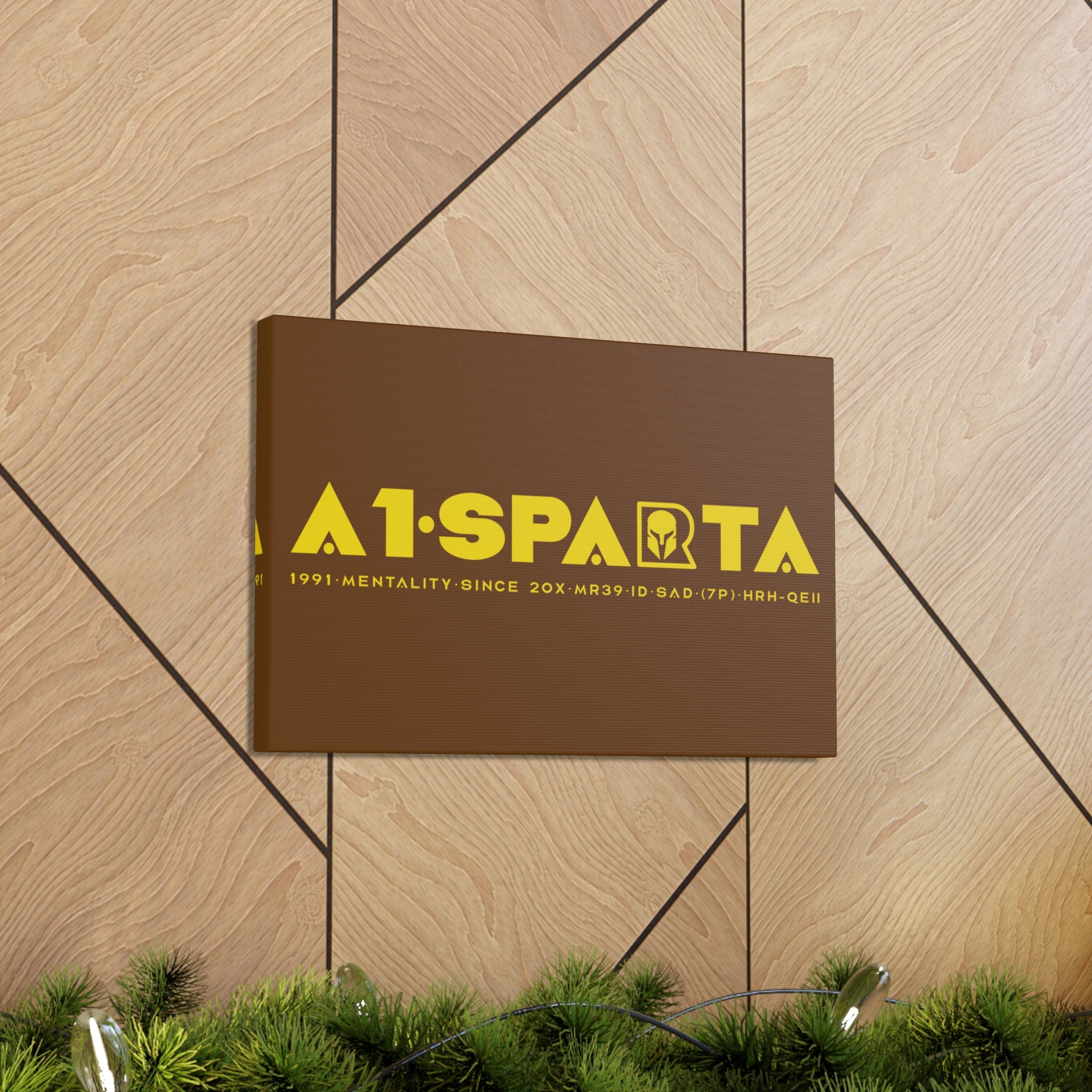 Canvas Gallery Wraps (A1•SPARTA RANGE)