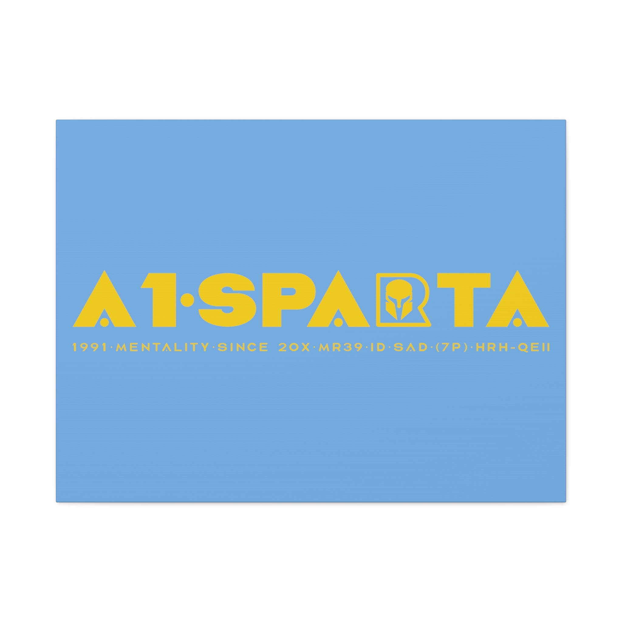 Canvas Gallery Wraps (A1•SPARTA RANGE)