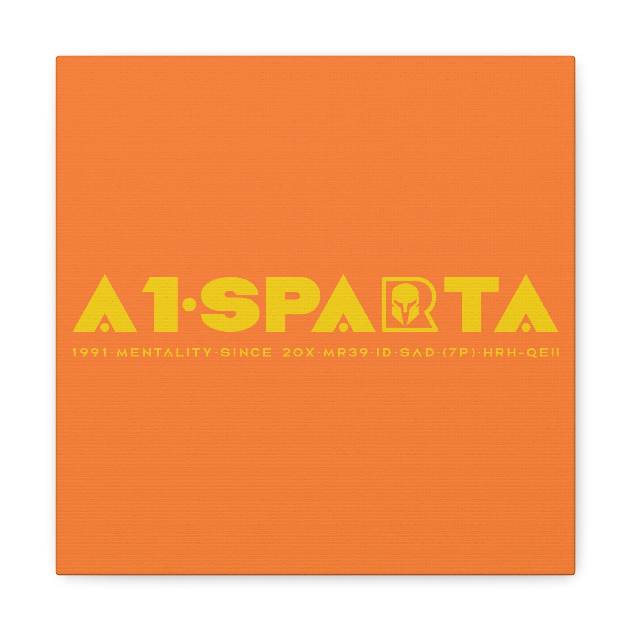 Canvas Gallery Wraps (A1•SPARTA RANGE)