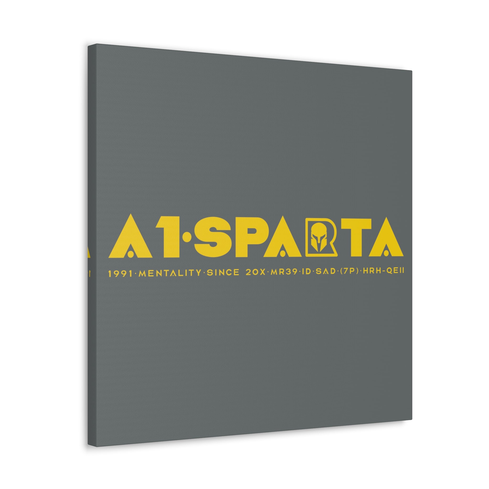Canvas Gallery Wraps (A1•SPARTA RANGE)