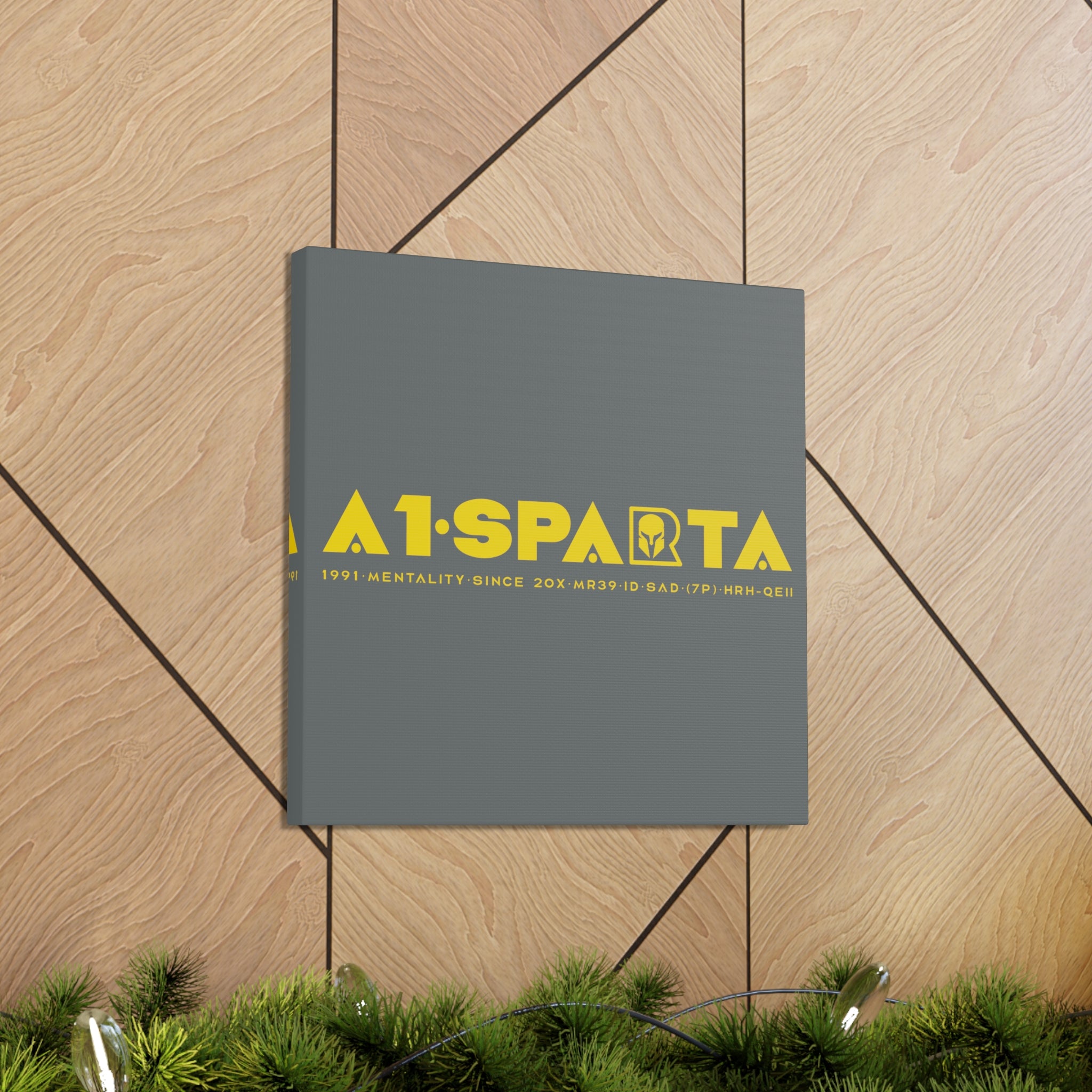 Canvas Gallery Wraps (A1•SPARTA RANGE)