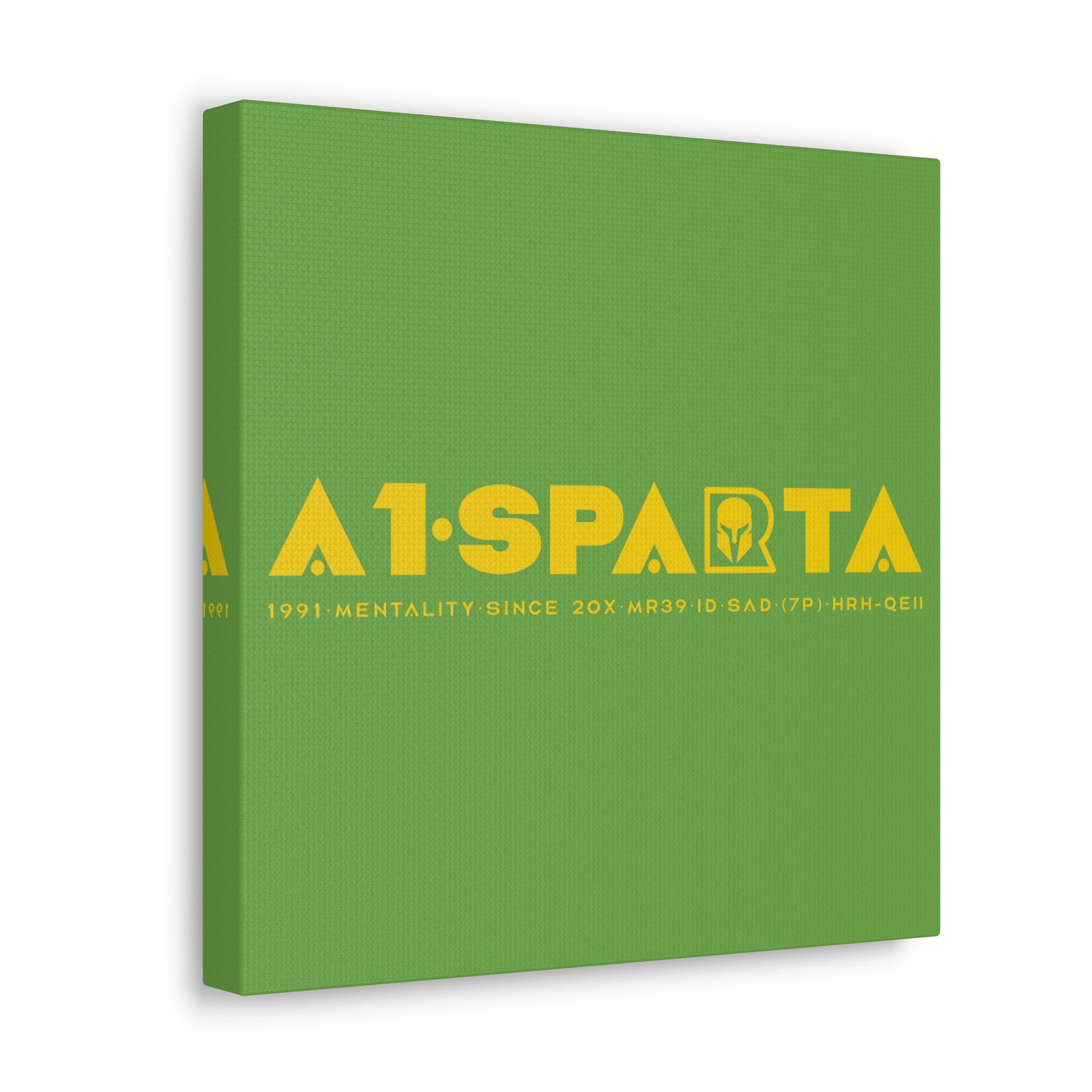 Canvas Gallery Wraps (A1•SPARTA RANGE)