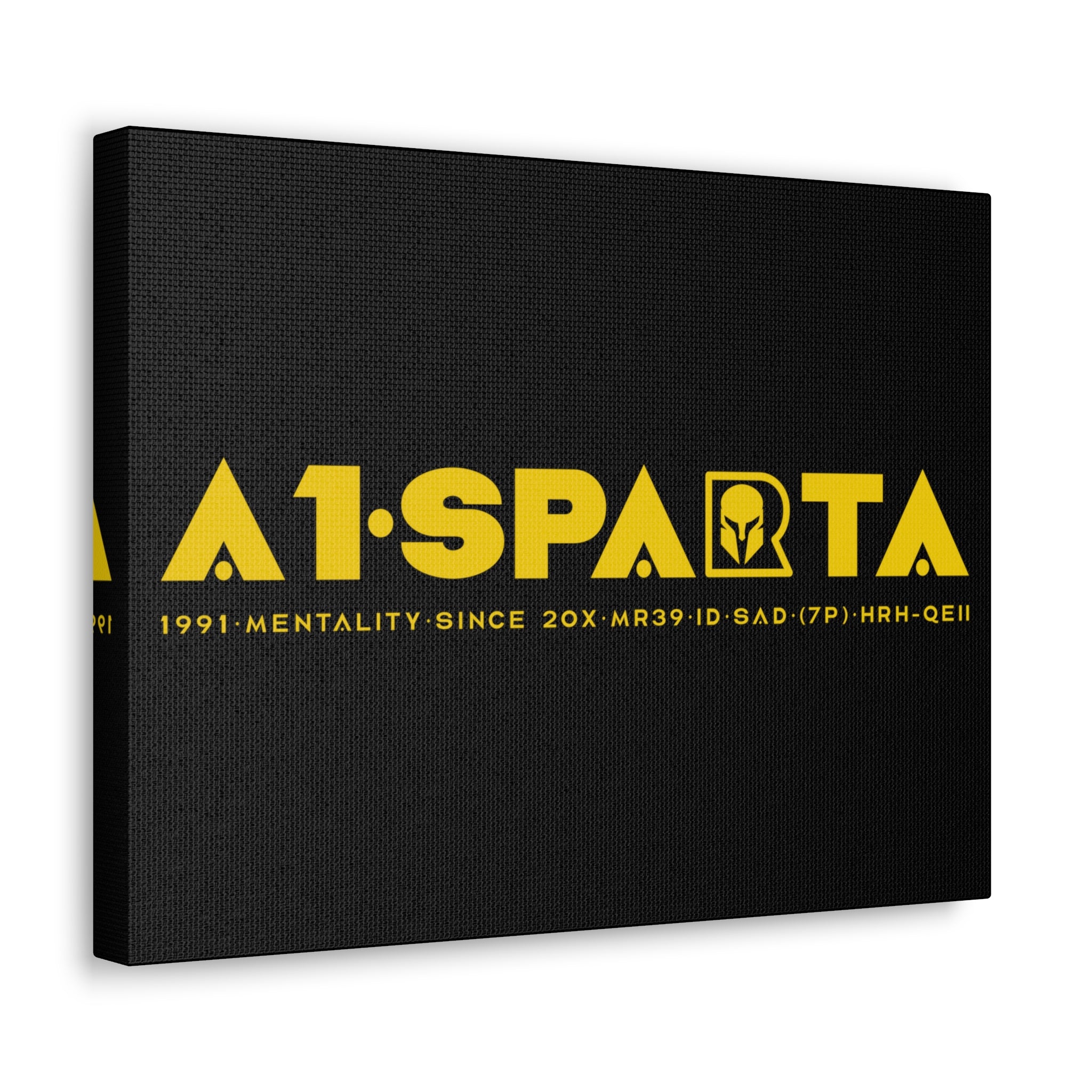 Canvas Gallery Wraps (A1•SPARTA RANGE)