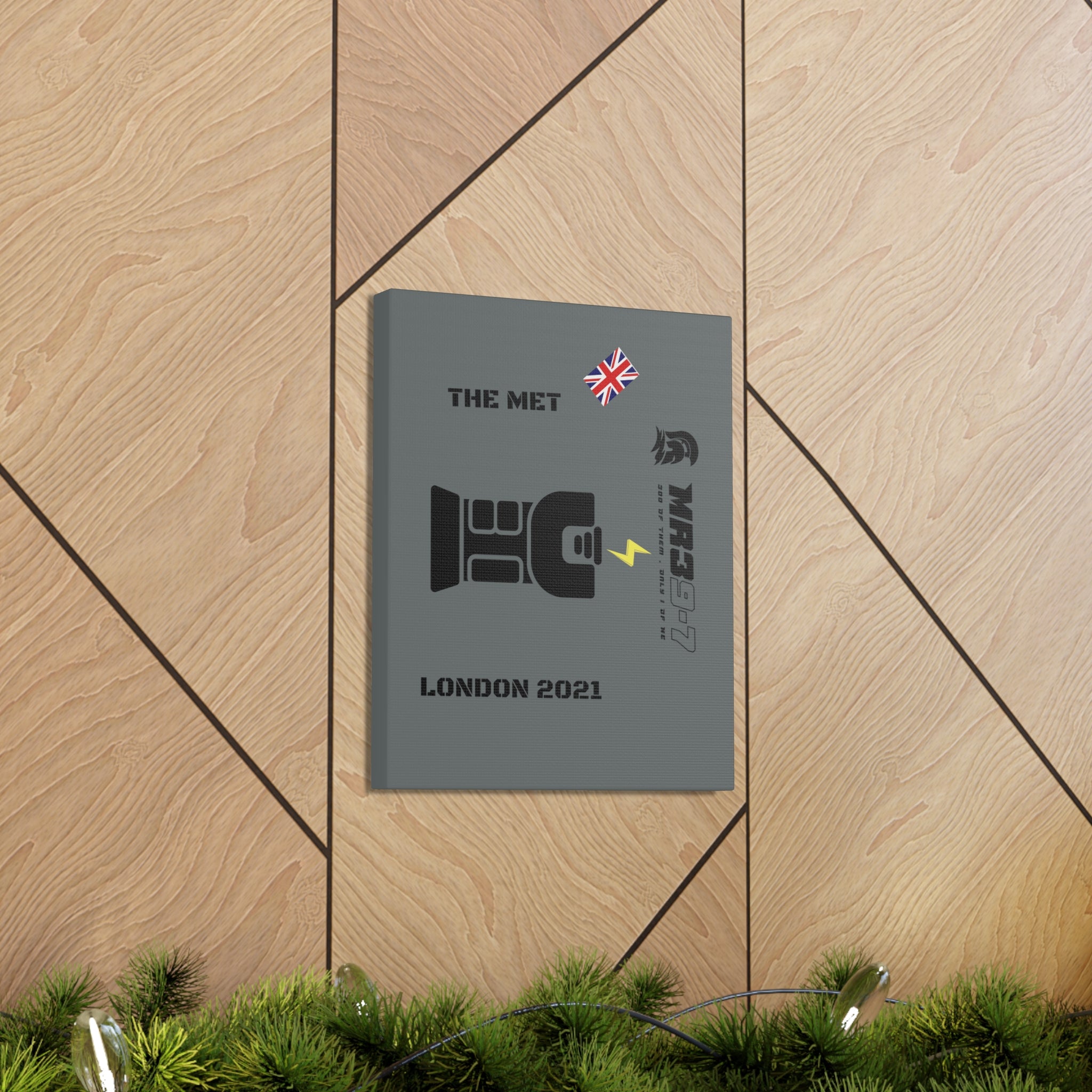 Canvas Gallery Wraps MR 39 Tasered by The MET 2021