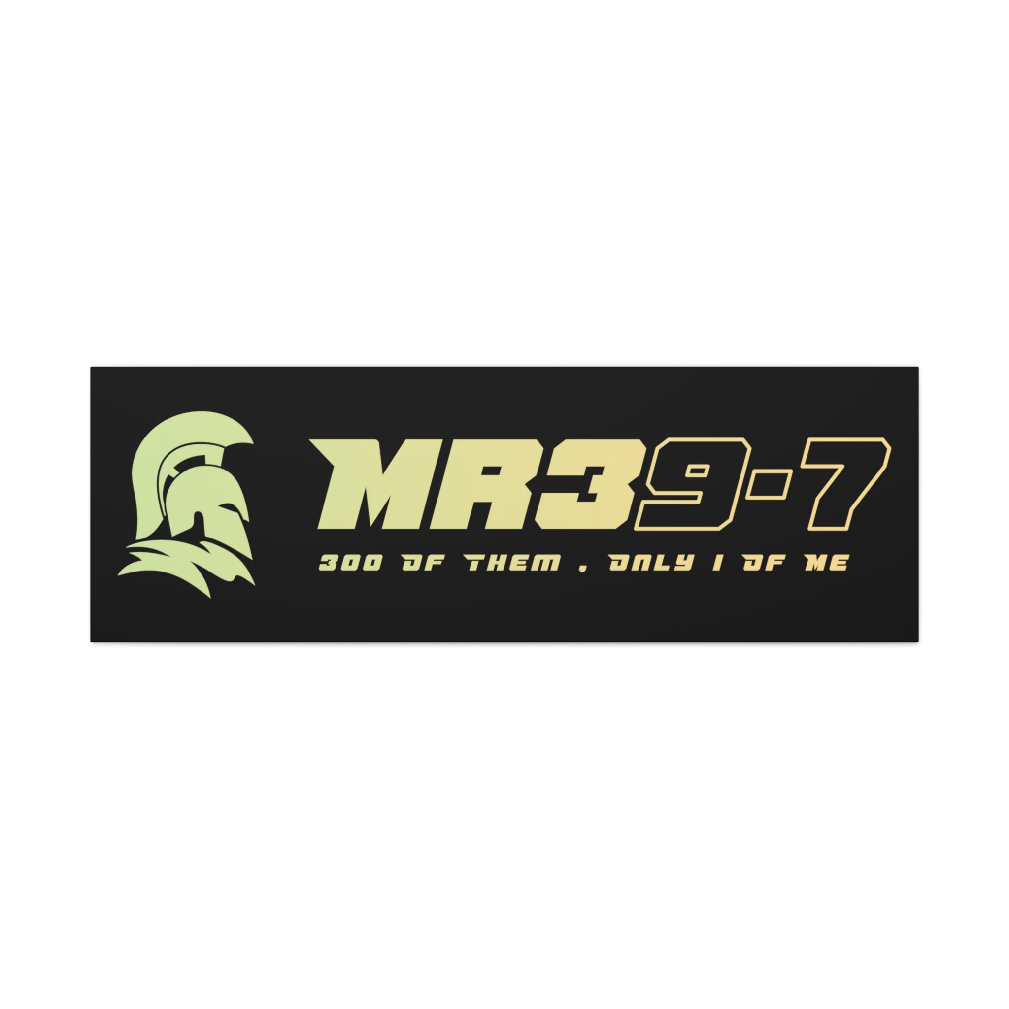 Canvas Gallery Wraps (A1•SPARTA RANGE)