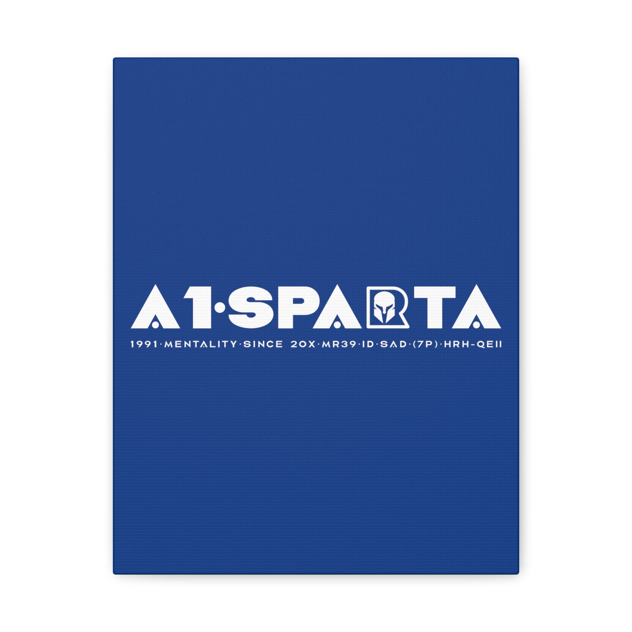 Canvas Gallery Wraps (A1•SPARTA RANGE)