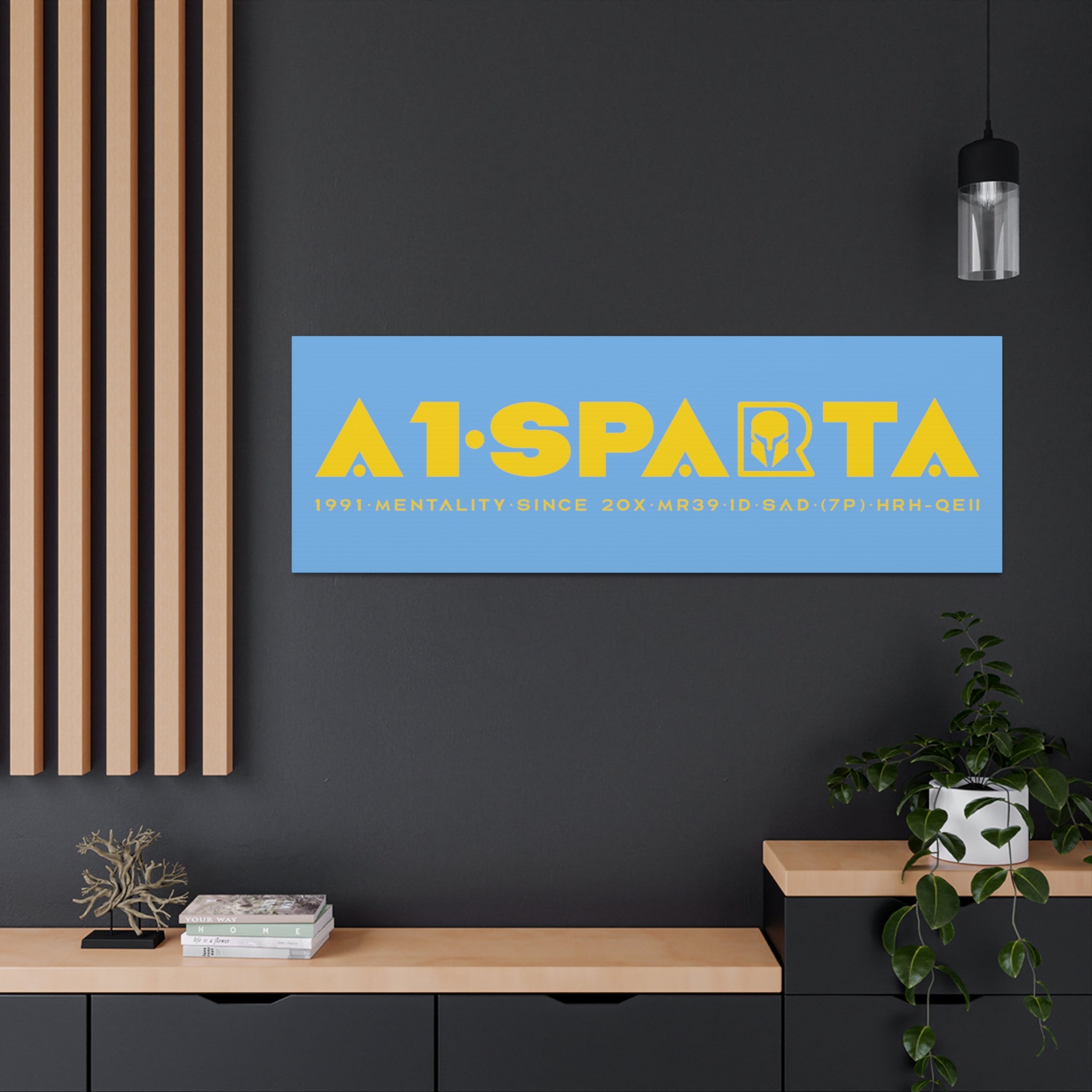 Canvas Gallery Wraps (A1•SPARTA RANGE)