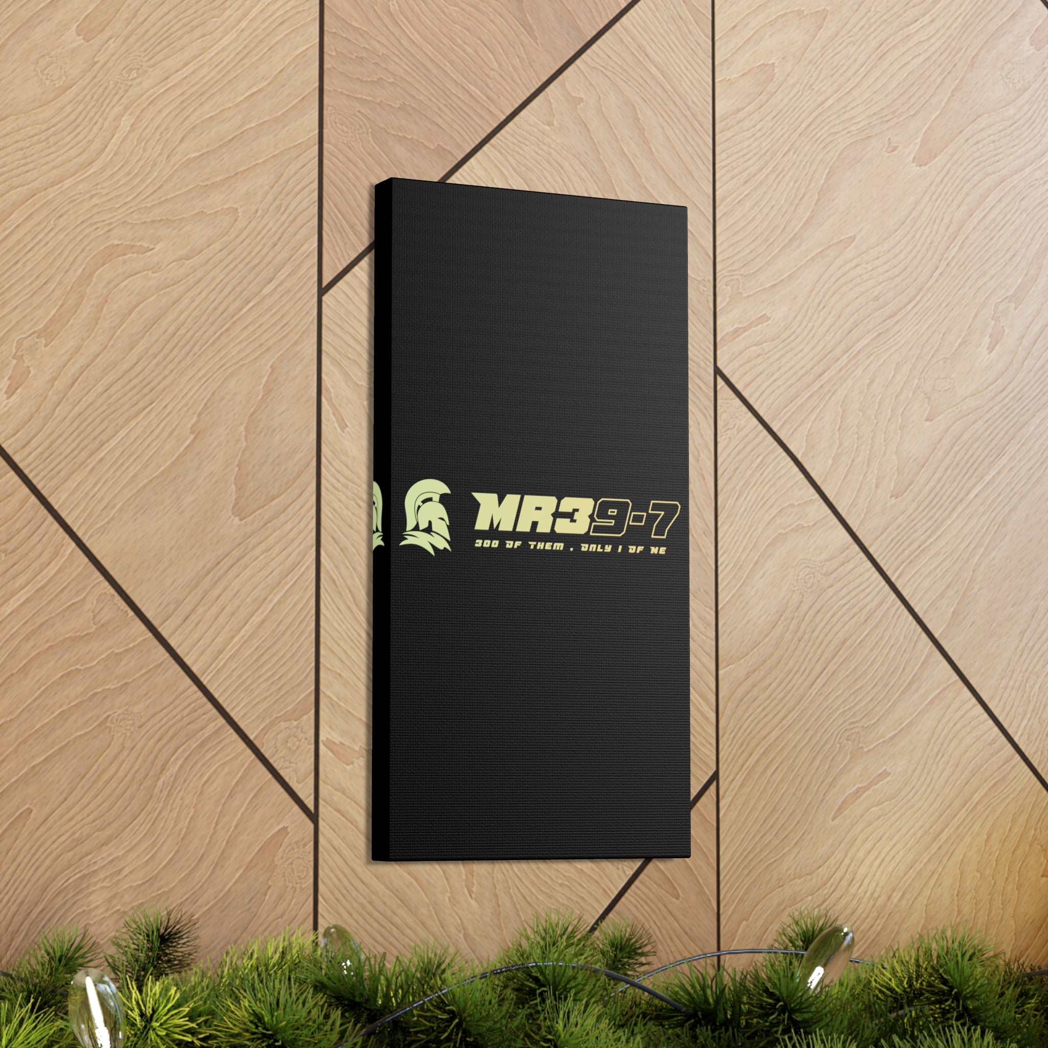 Canvas Gallery Wraps (A1•SPARTA RANGE)