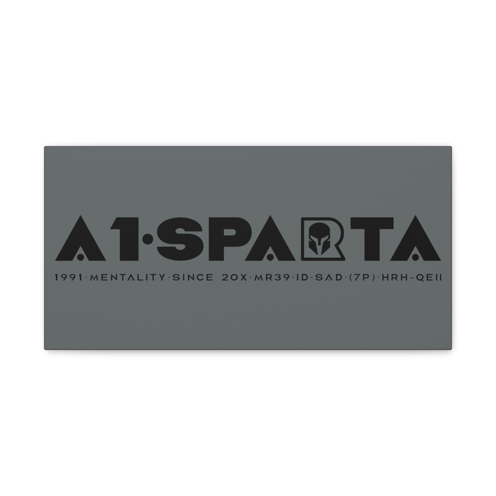 Canvas Gallery Wraps (A1•SPARTA RANGE)