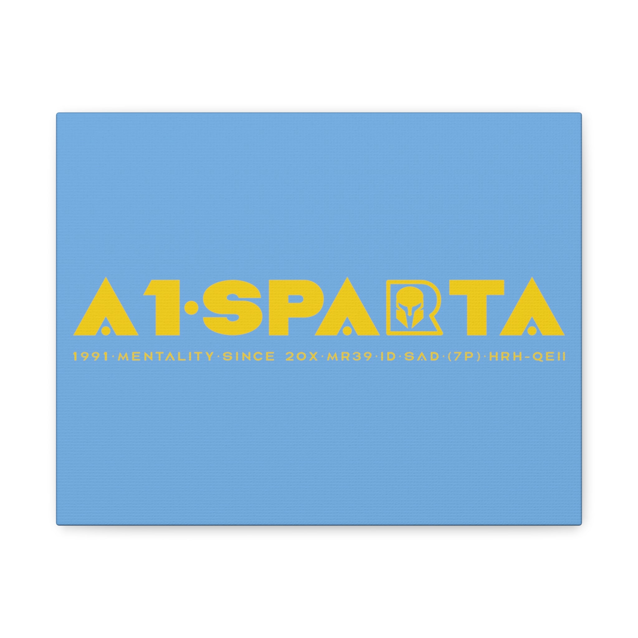 Canvas Gallery Wraps (A1•SPARTA RANGE)