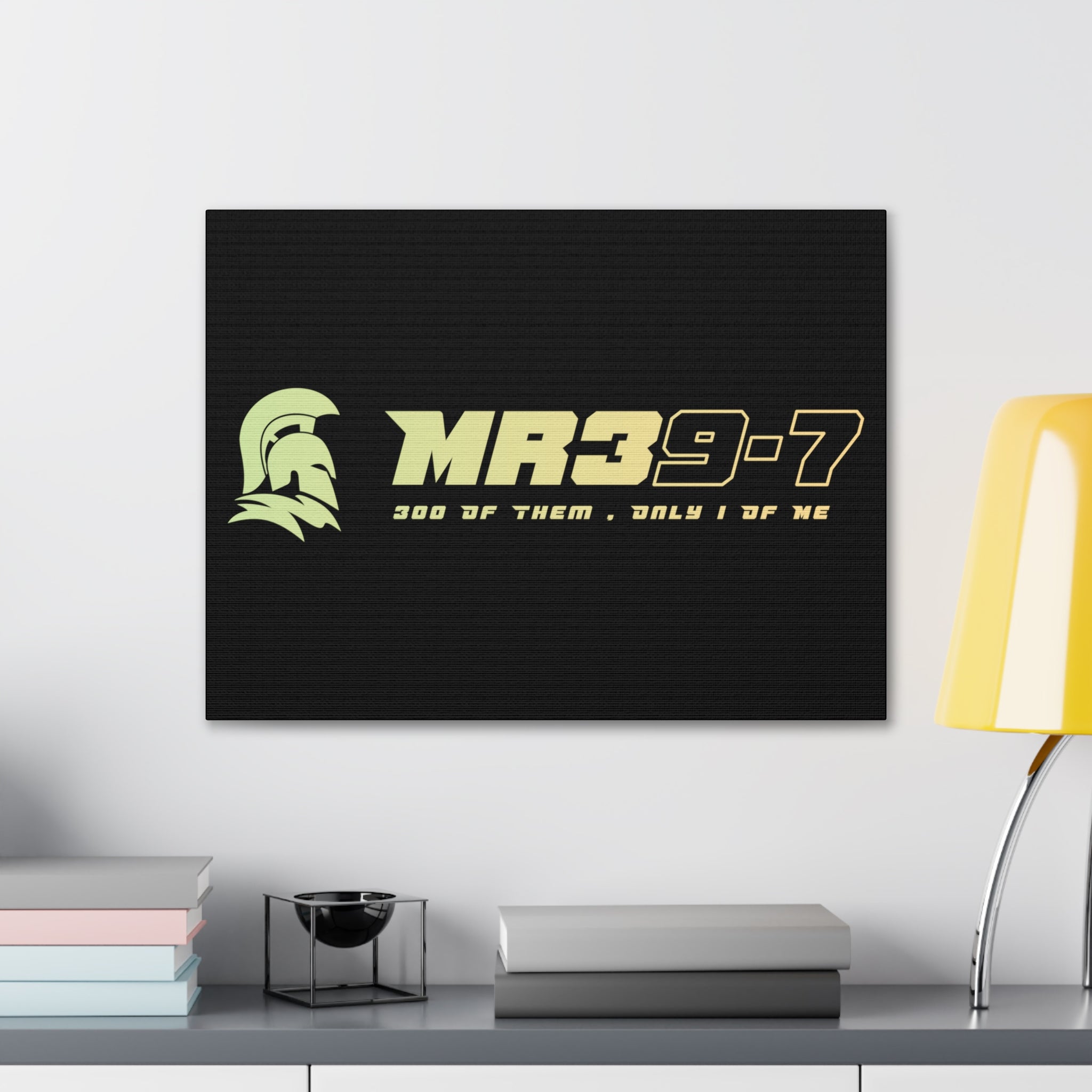 Canvas Gallery Wraps (A1•SPARTA RANGE)