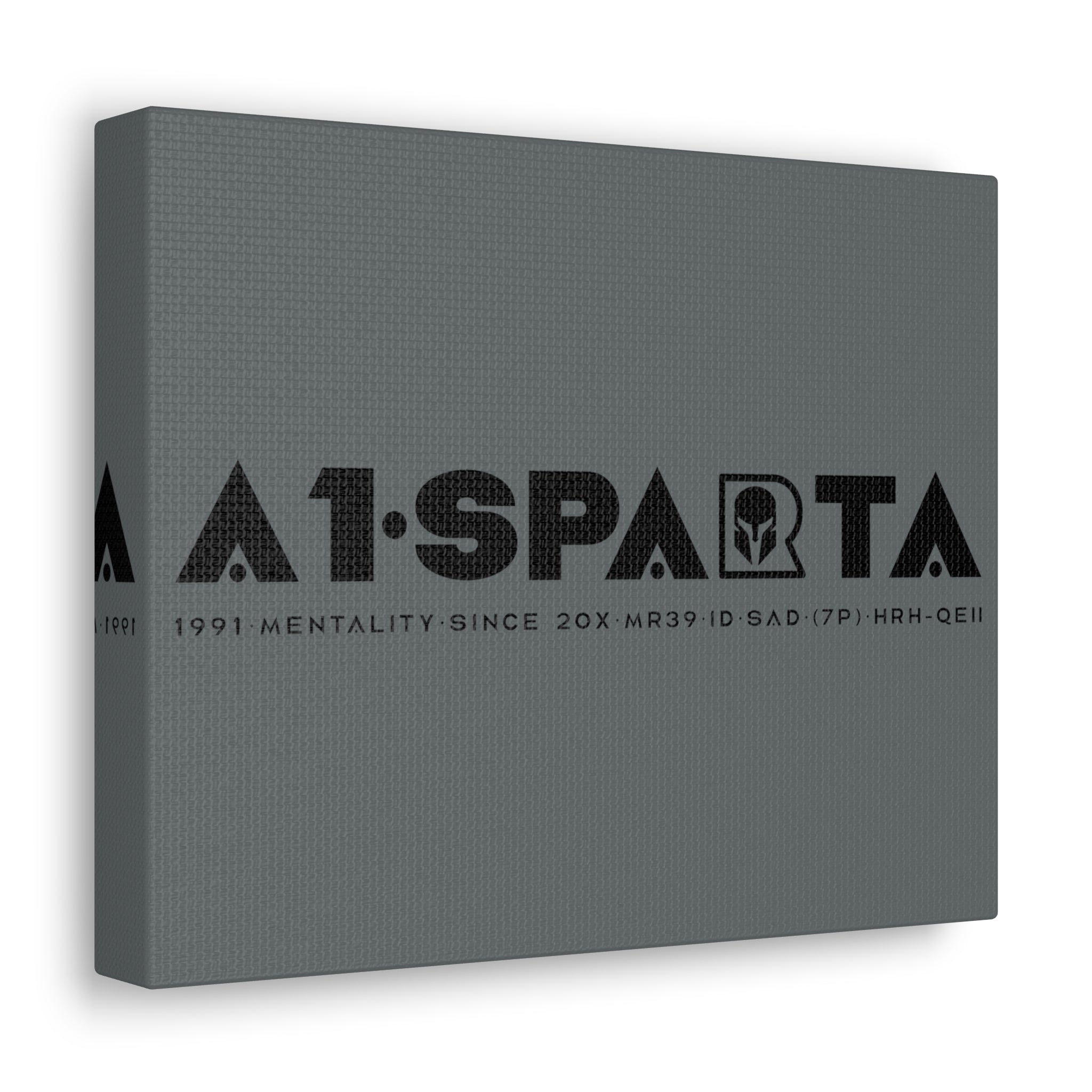 Canvas Gallery Wraps (A1•SPARTA RANGE)