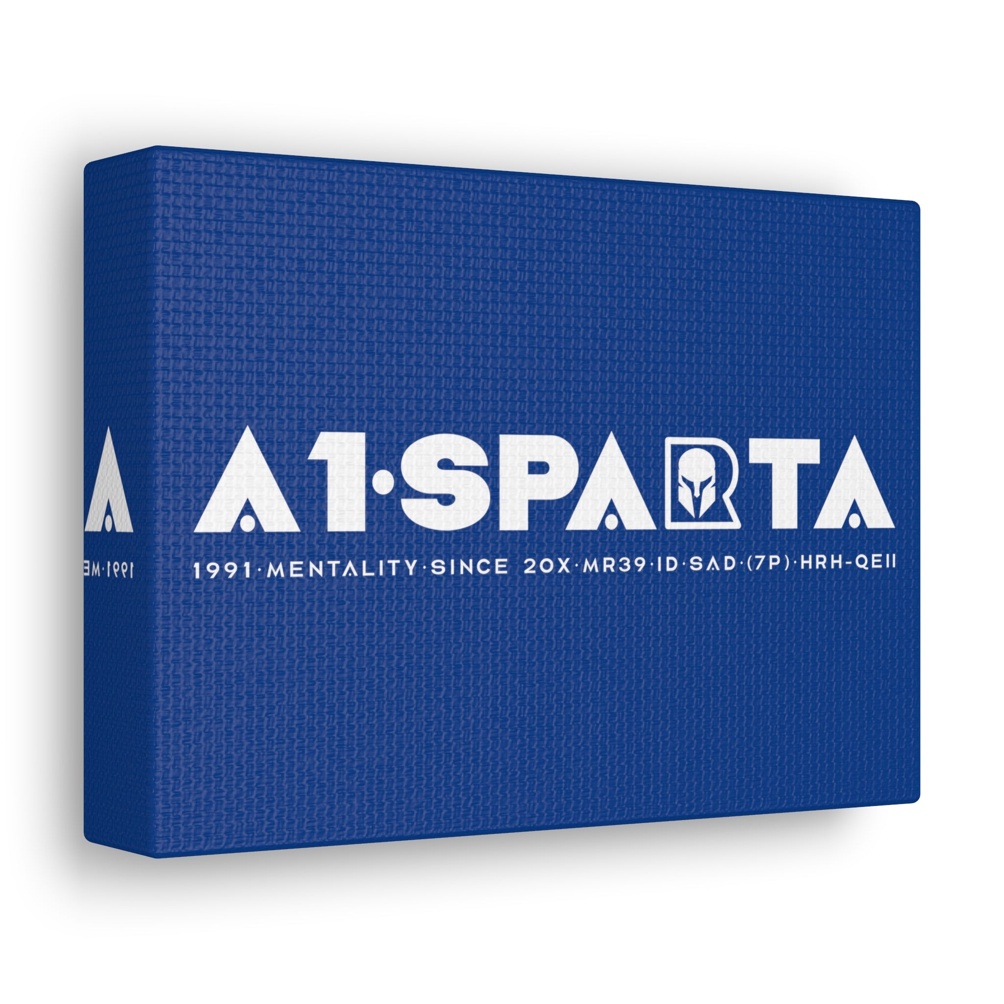 Canvas Gallery Wraps (A1•SPARTA RANGE)