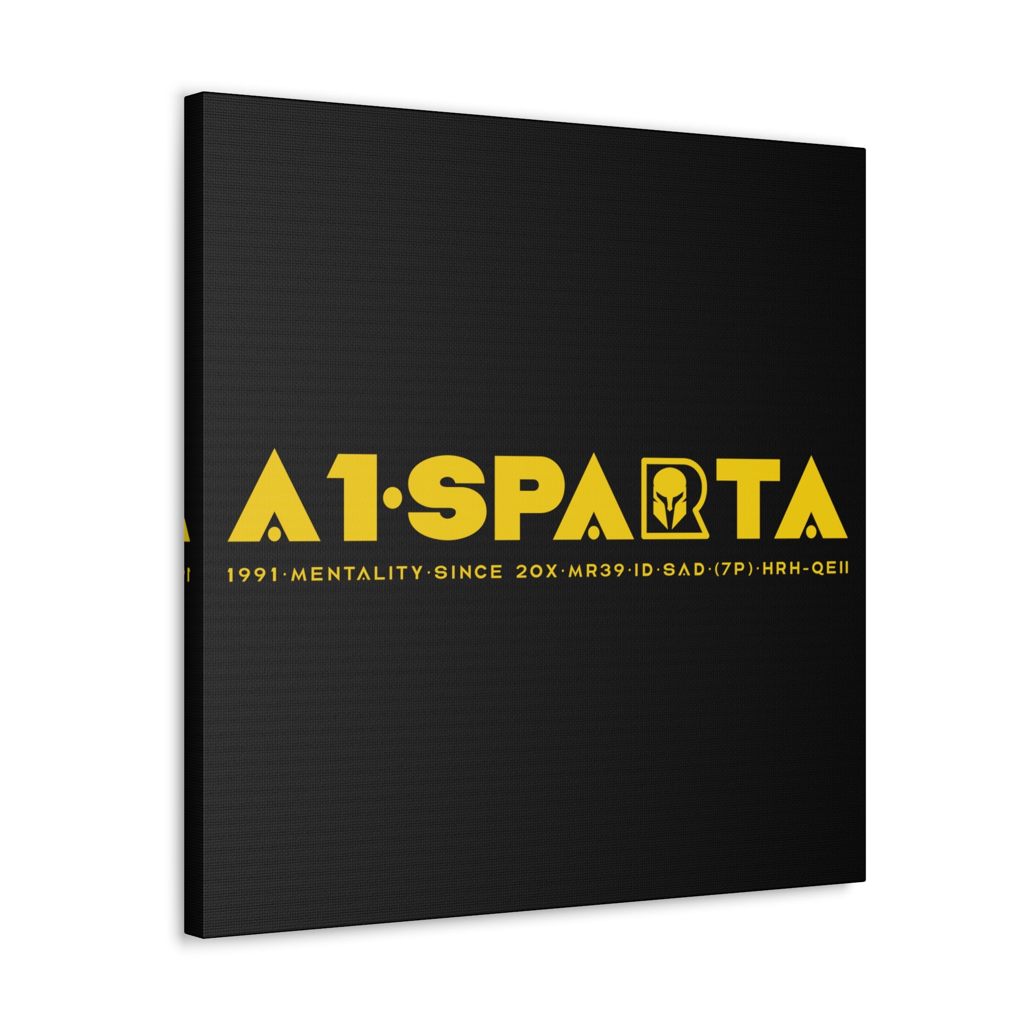 Canvas Gallery Wraps (A1•SPARTA RANGE)