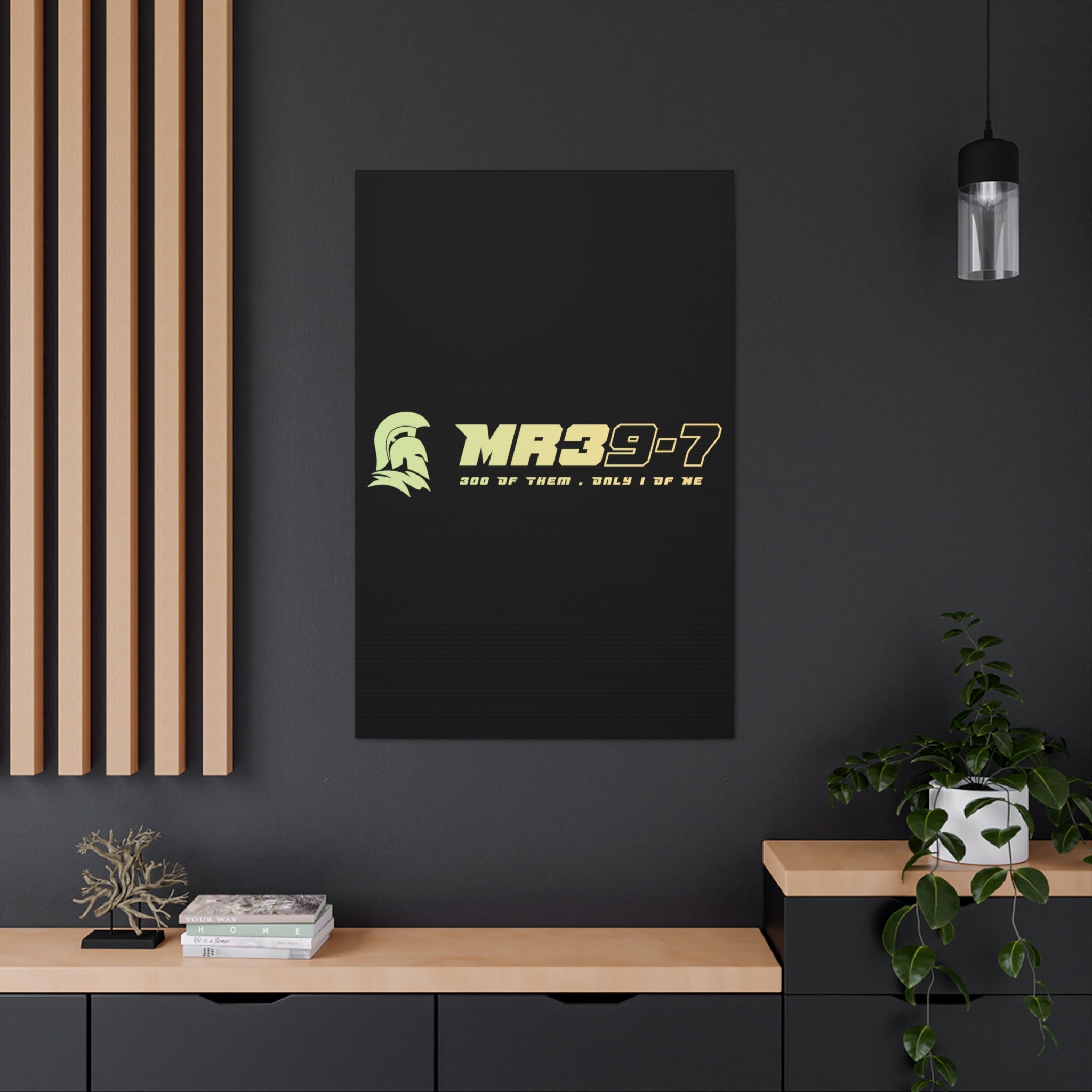 Canvas Gallery Wraps (A1•SPARTA RANGE)