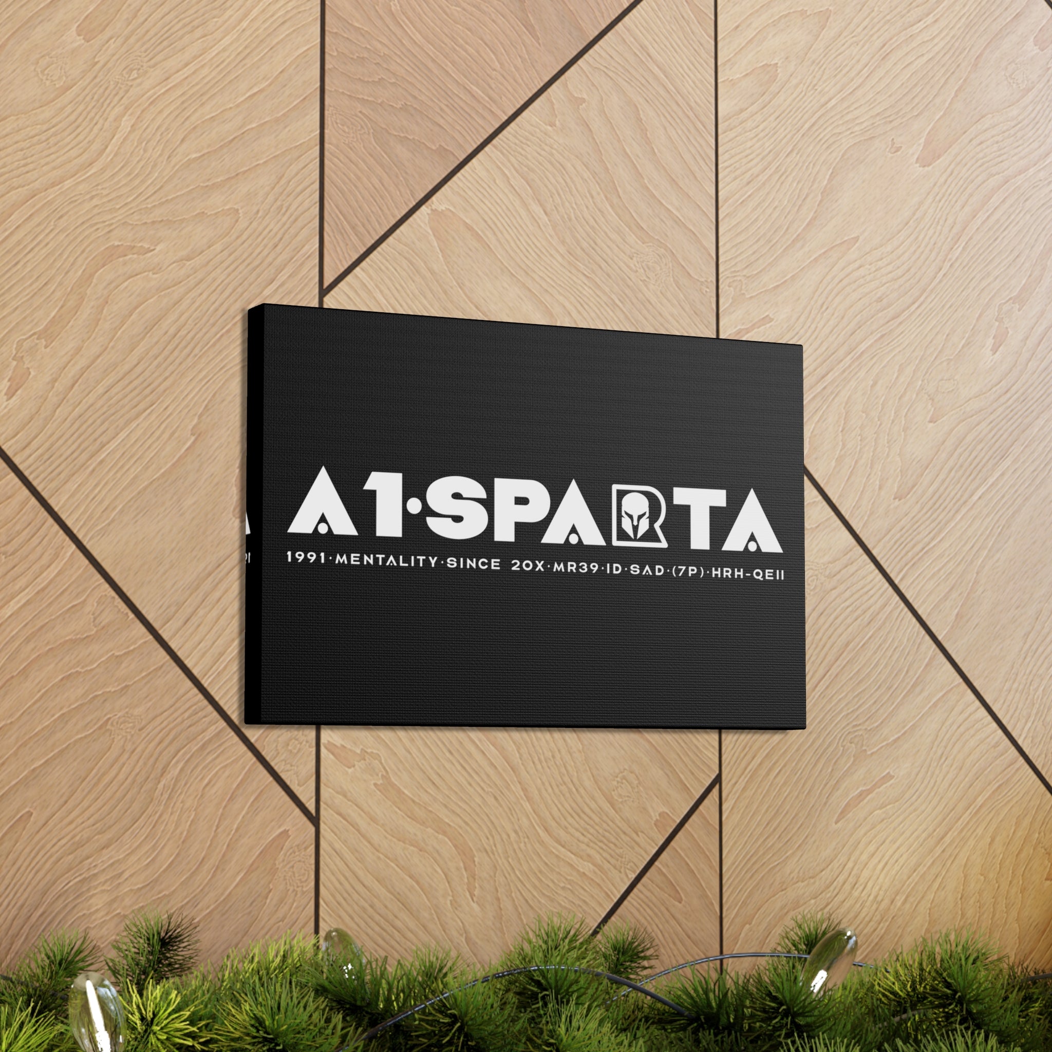 Canvas Gallery Wraps (A1•SPARTA RANGE)
