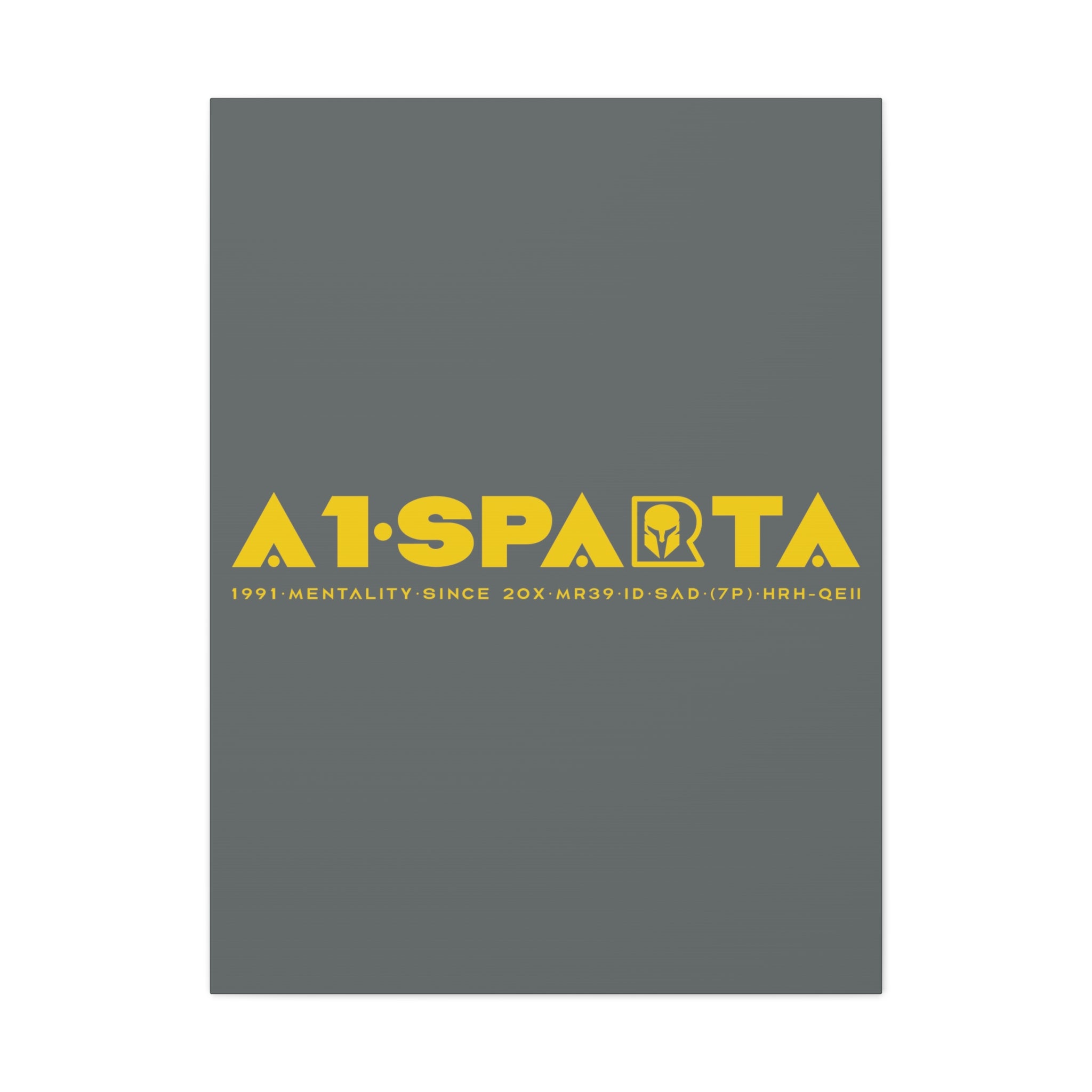 Canvas Gallery Wraps (A1•SPARTA RANGE)