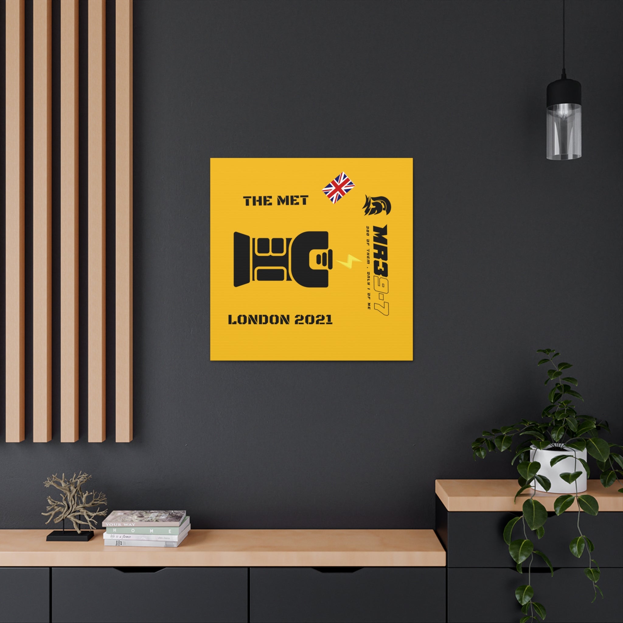 Canvas Gallery Wraps MR 39 Tasered by The MET 2021