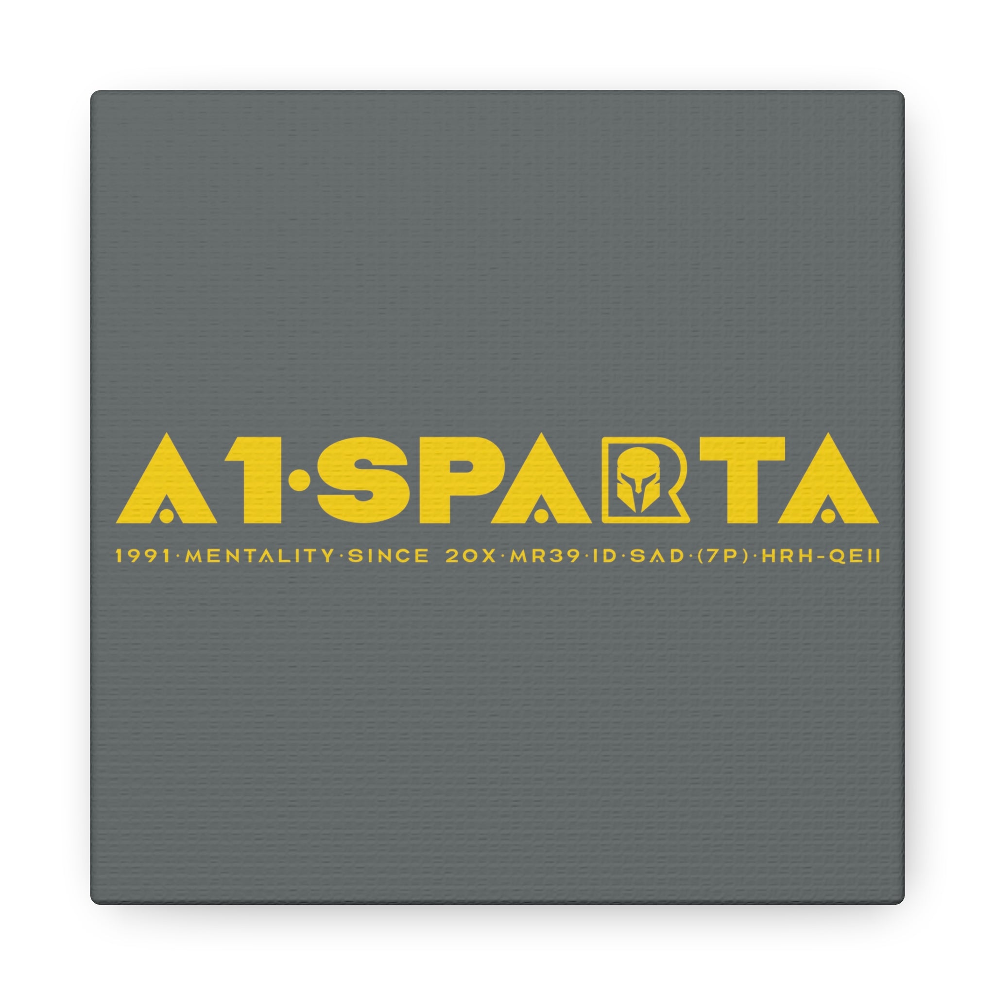 Canvas Gallery Wraps (A1•SPARTA RANGE)