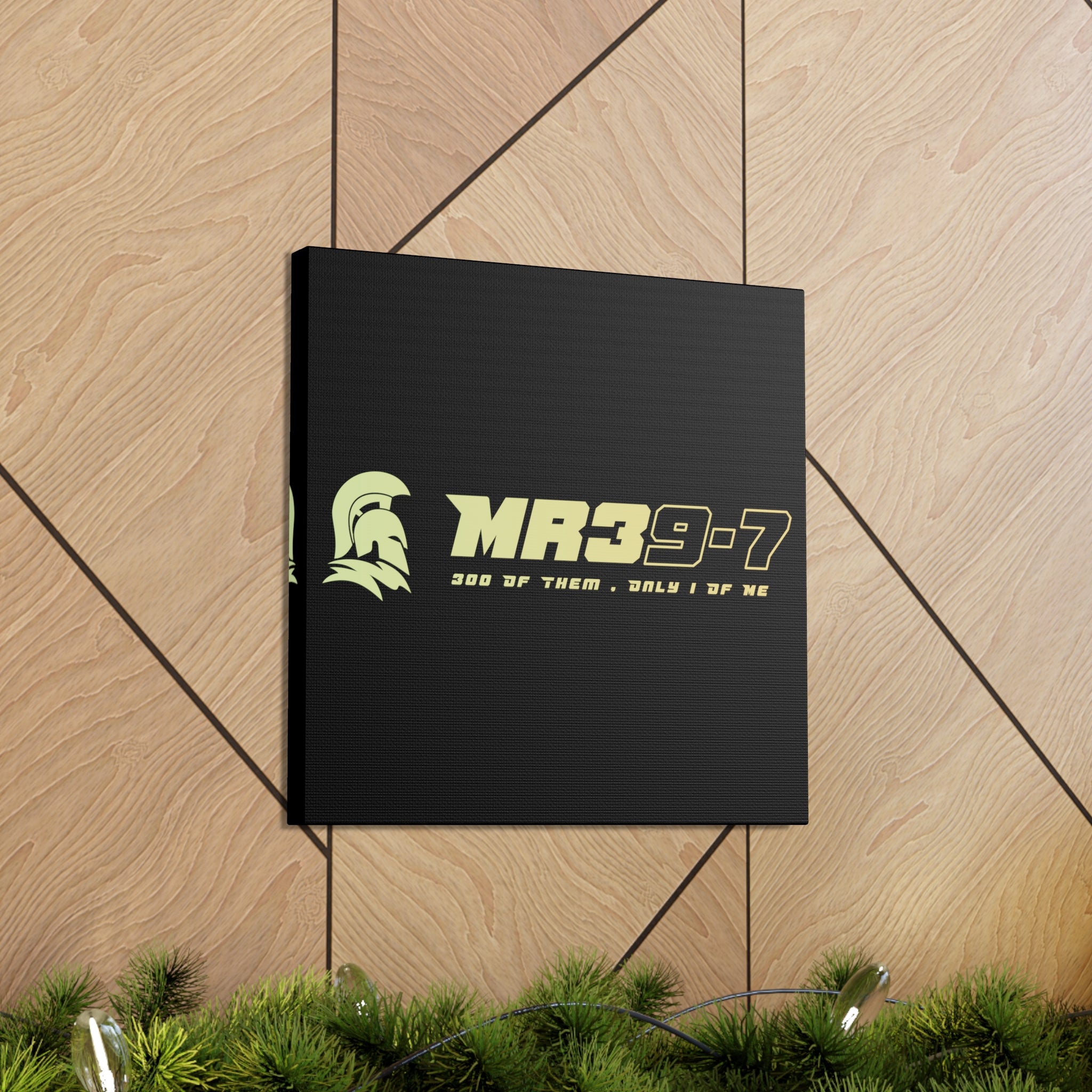 Canvas Gallery Wraps (A1•SPARTA RANGE)