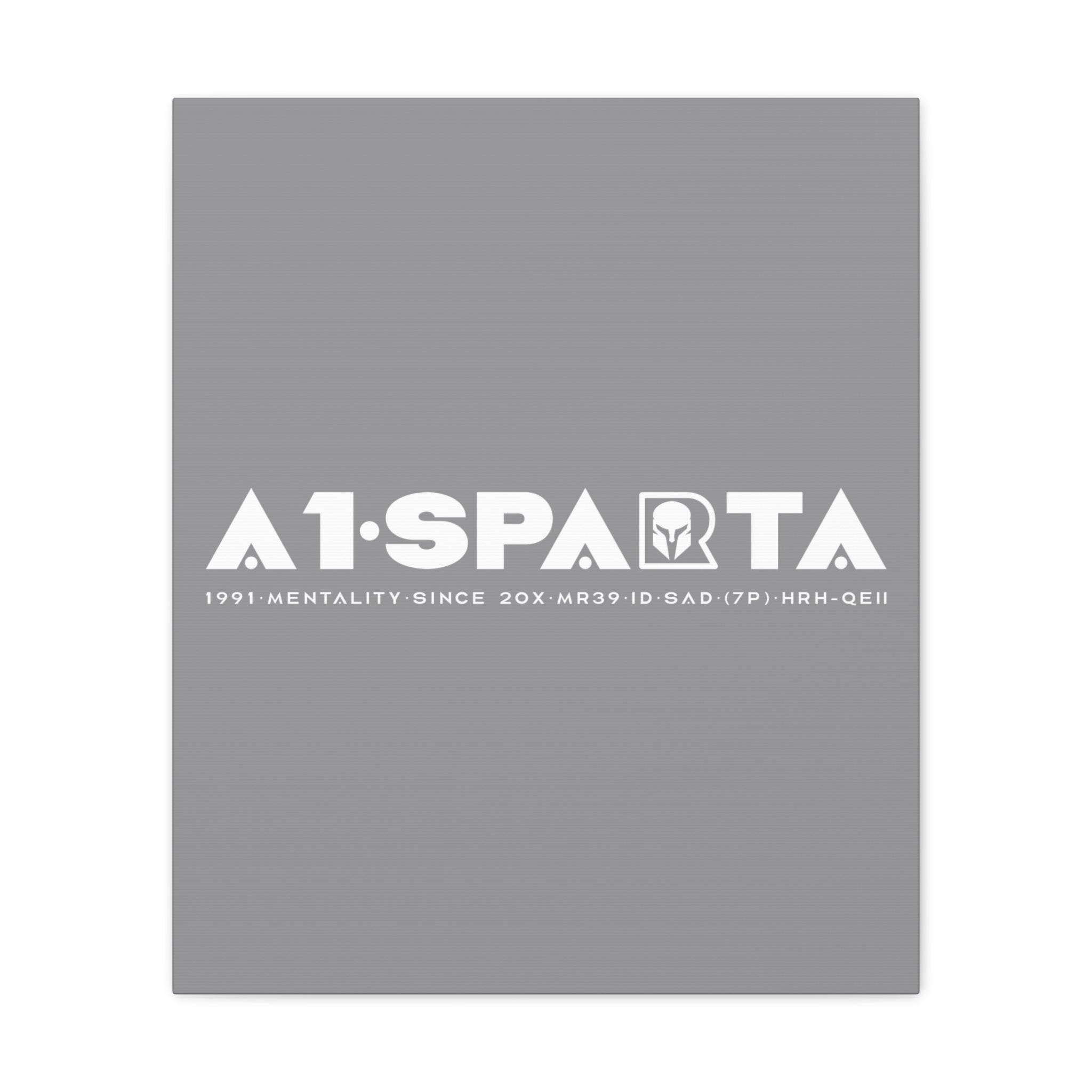 Canvas Gallery Wraps (A1•SPARTA RANGE)