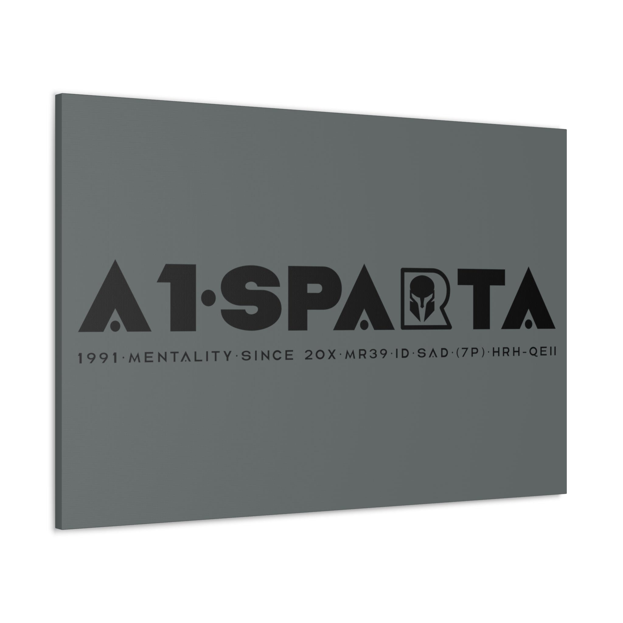 Canvas Gallery Wraps (A1•SPARTA RANGE)